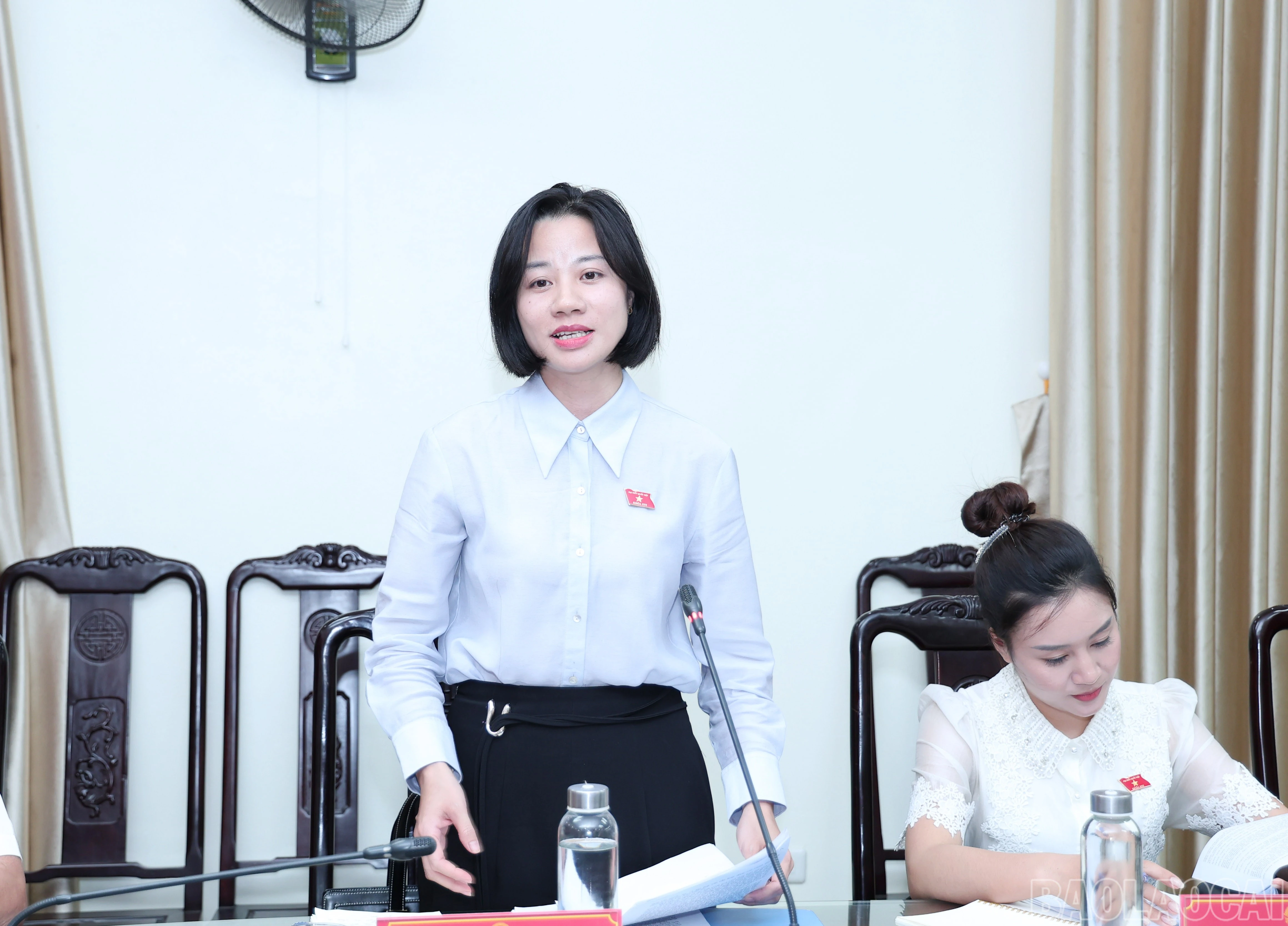 baolaocai-br_img-5120.jpg