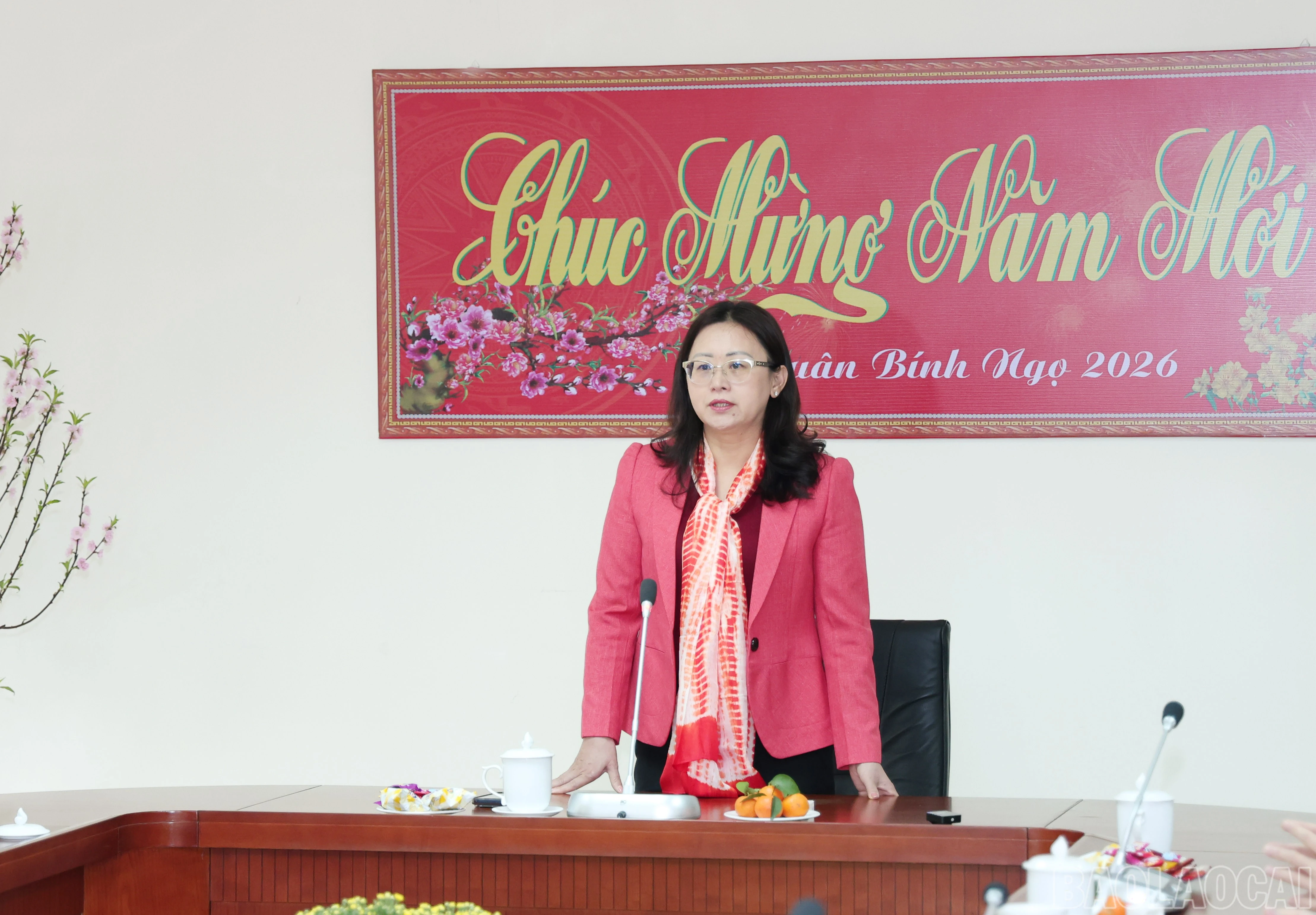 baolaocai-br_img-9926.jpg