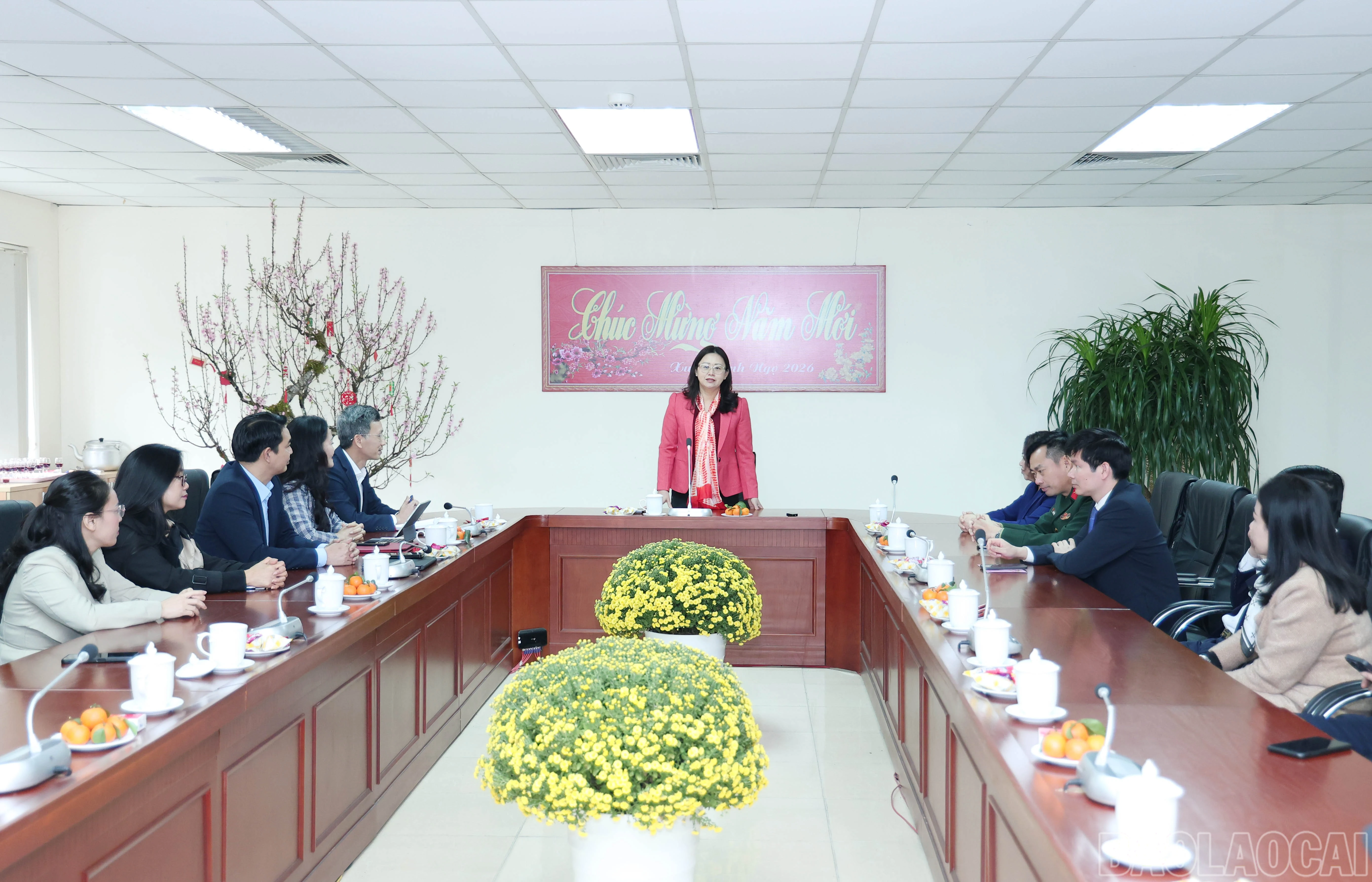 baolaocai-br_img-9918.jpg