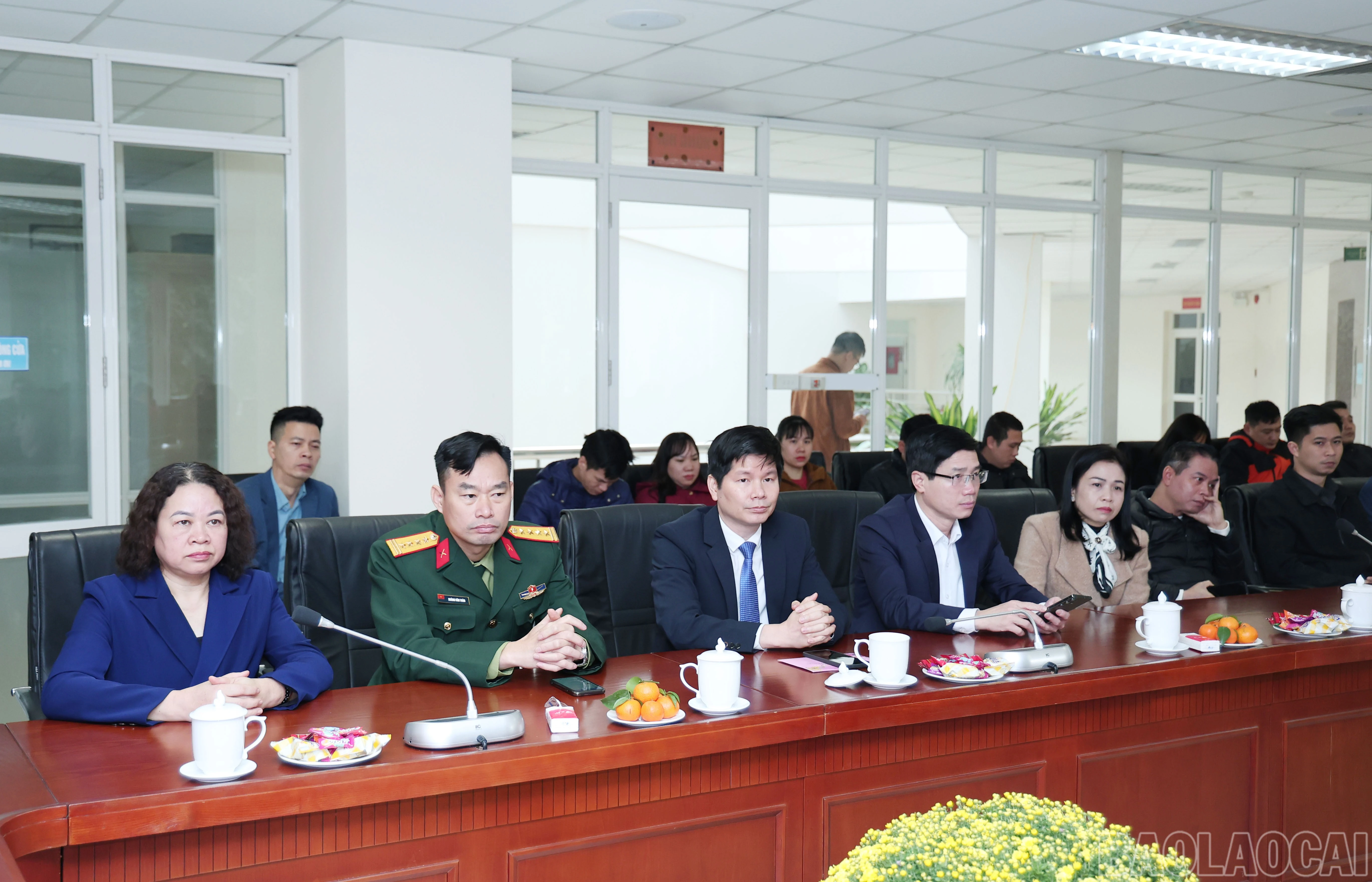 baolaocai-br_img-9909.jpg