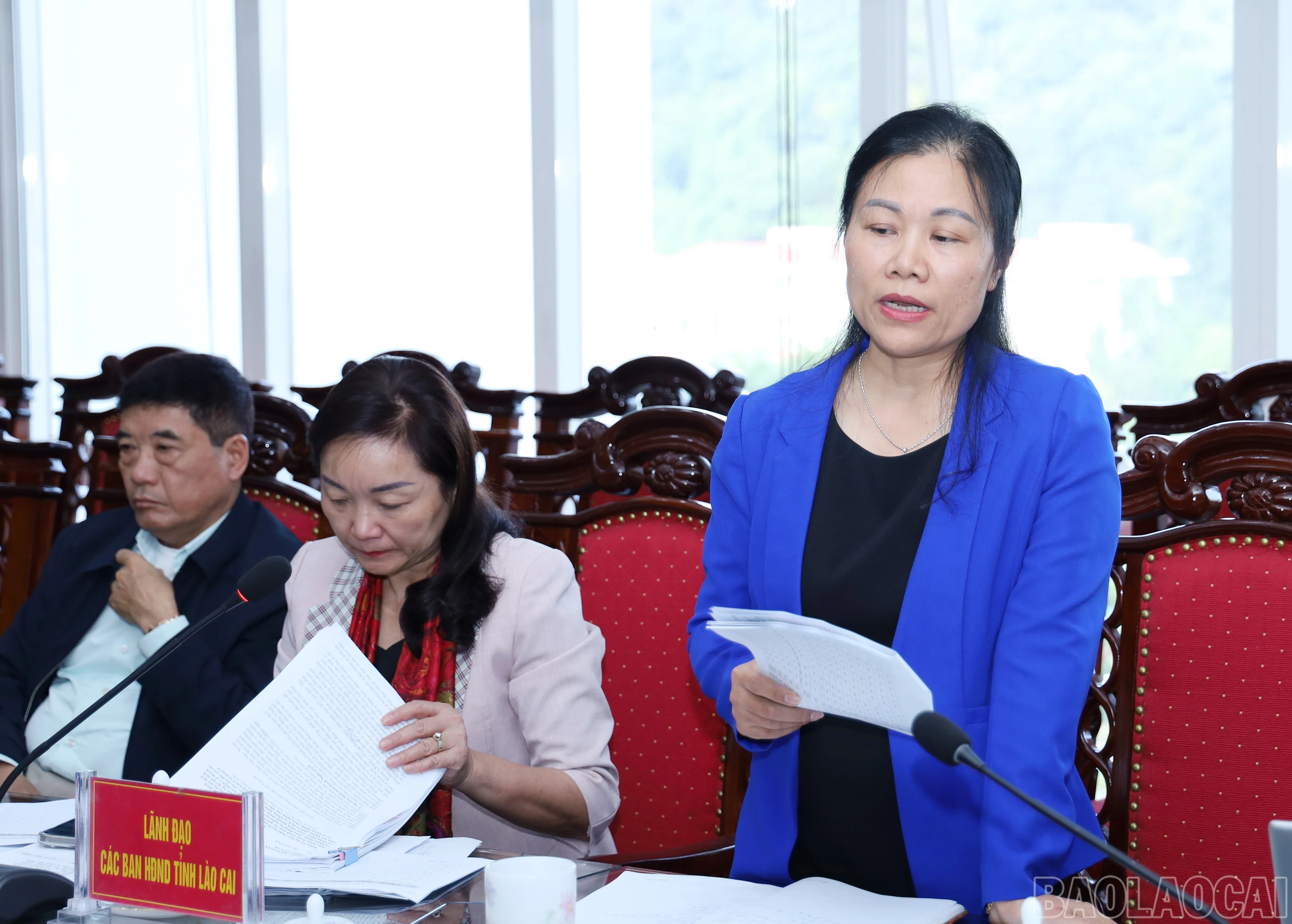 baolaocai-br_6422.jpg