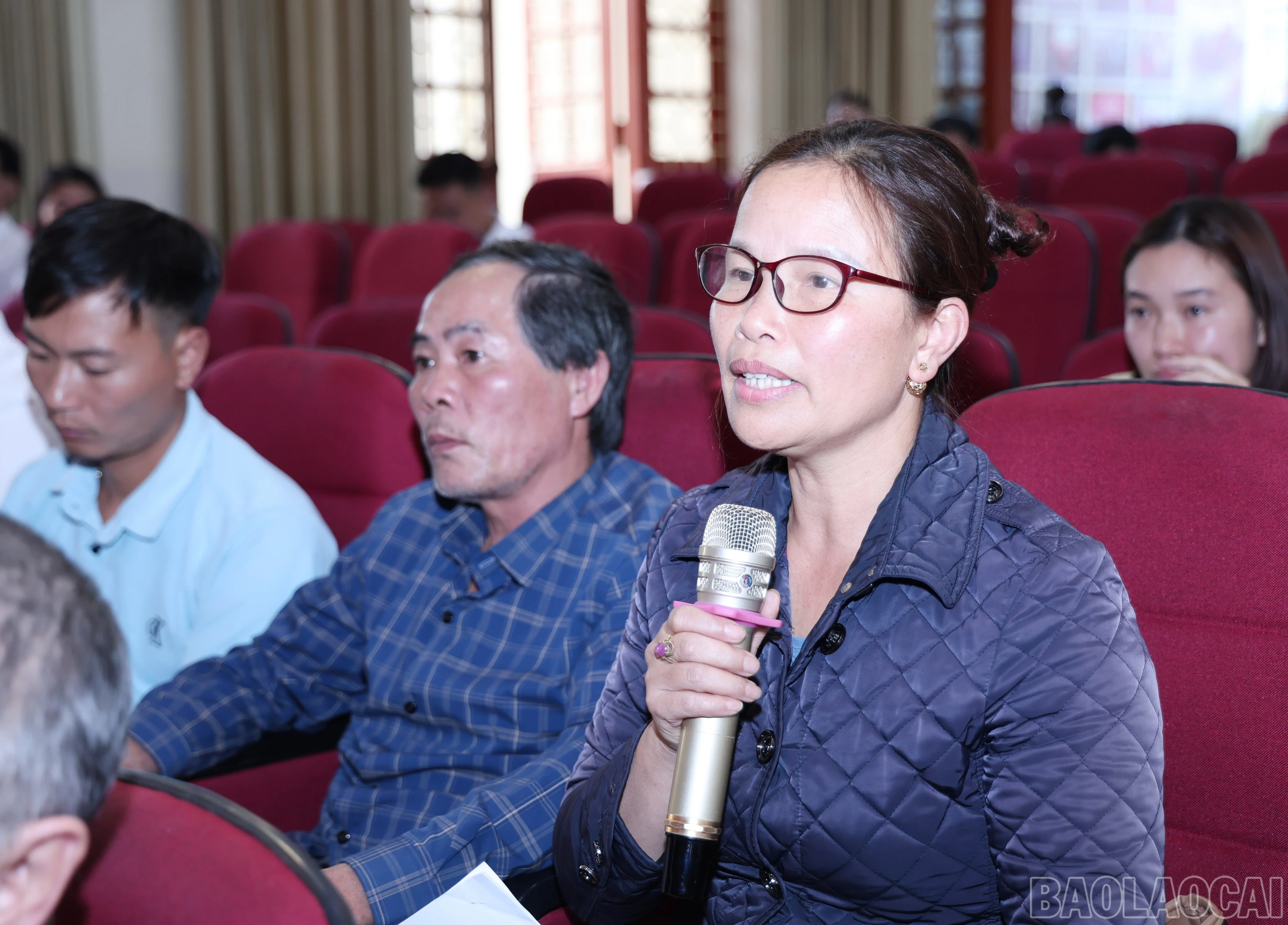 baolaocai-br_img-2715.jpg