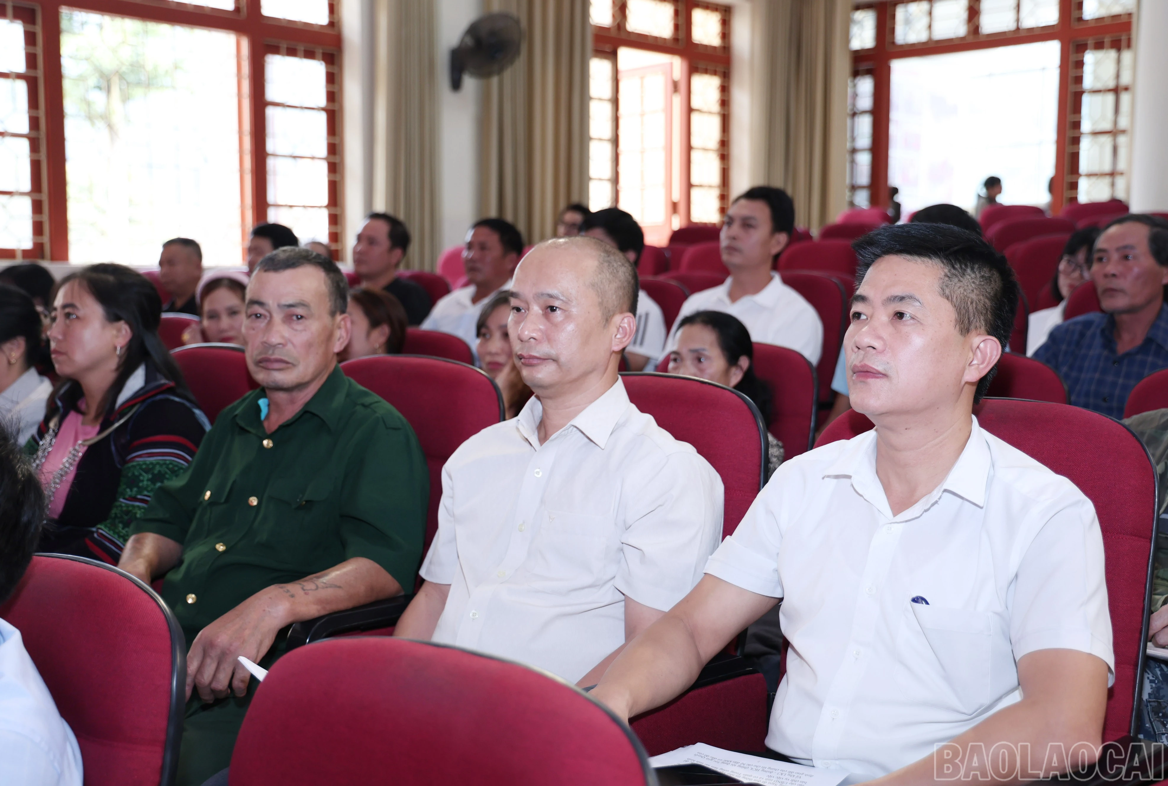 baolaocai-br_img-2639.jpg