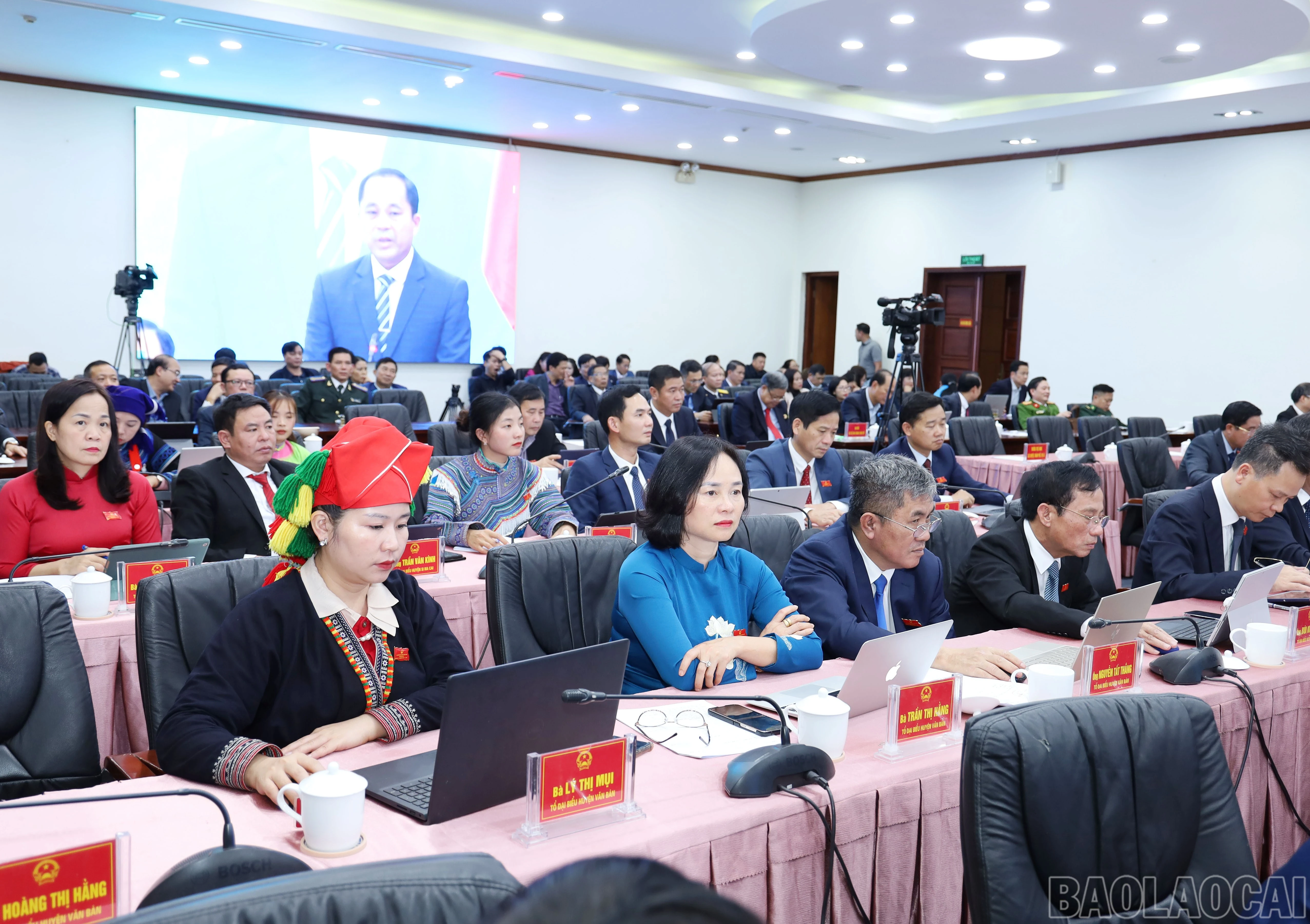baolaocai-br_6971.jpg