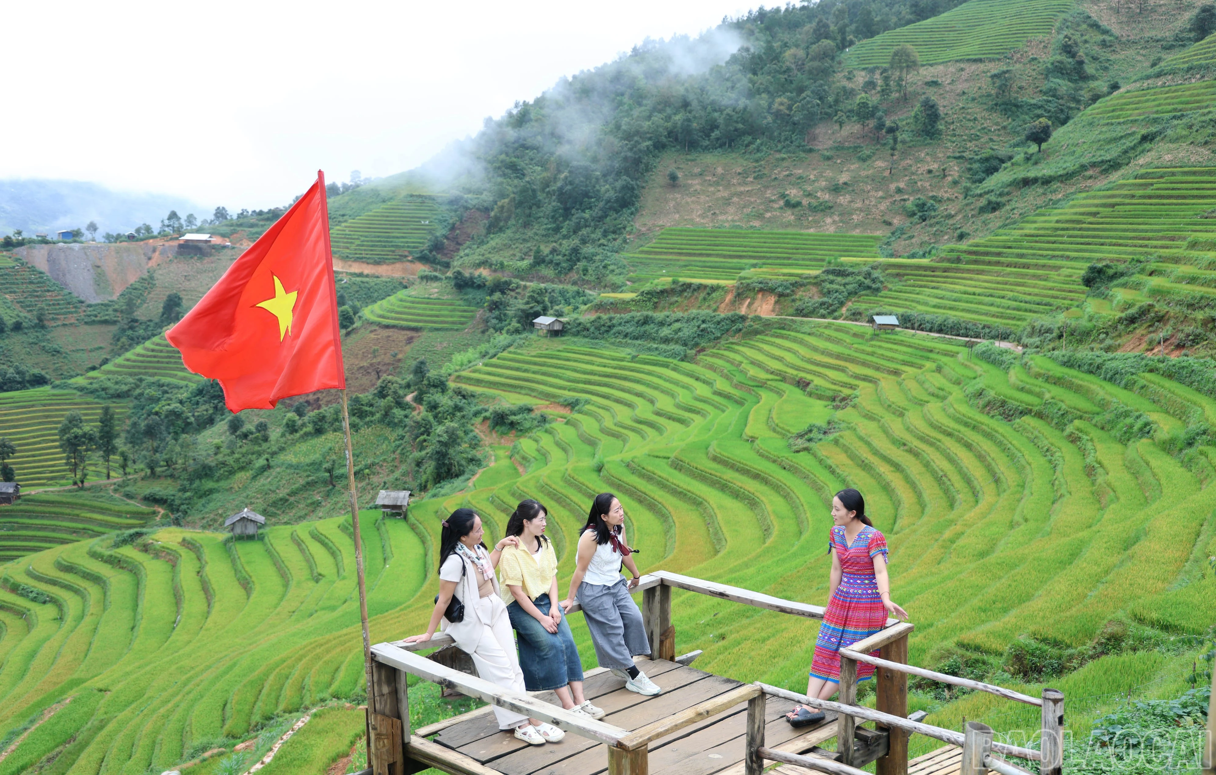 baolaocai-br_img-0900.jpg