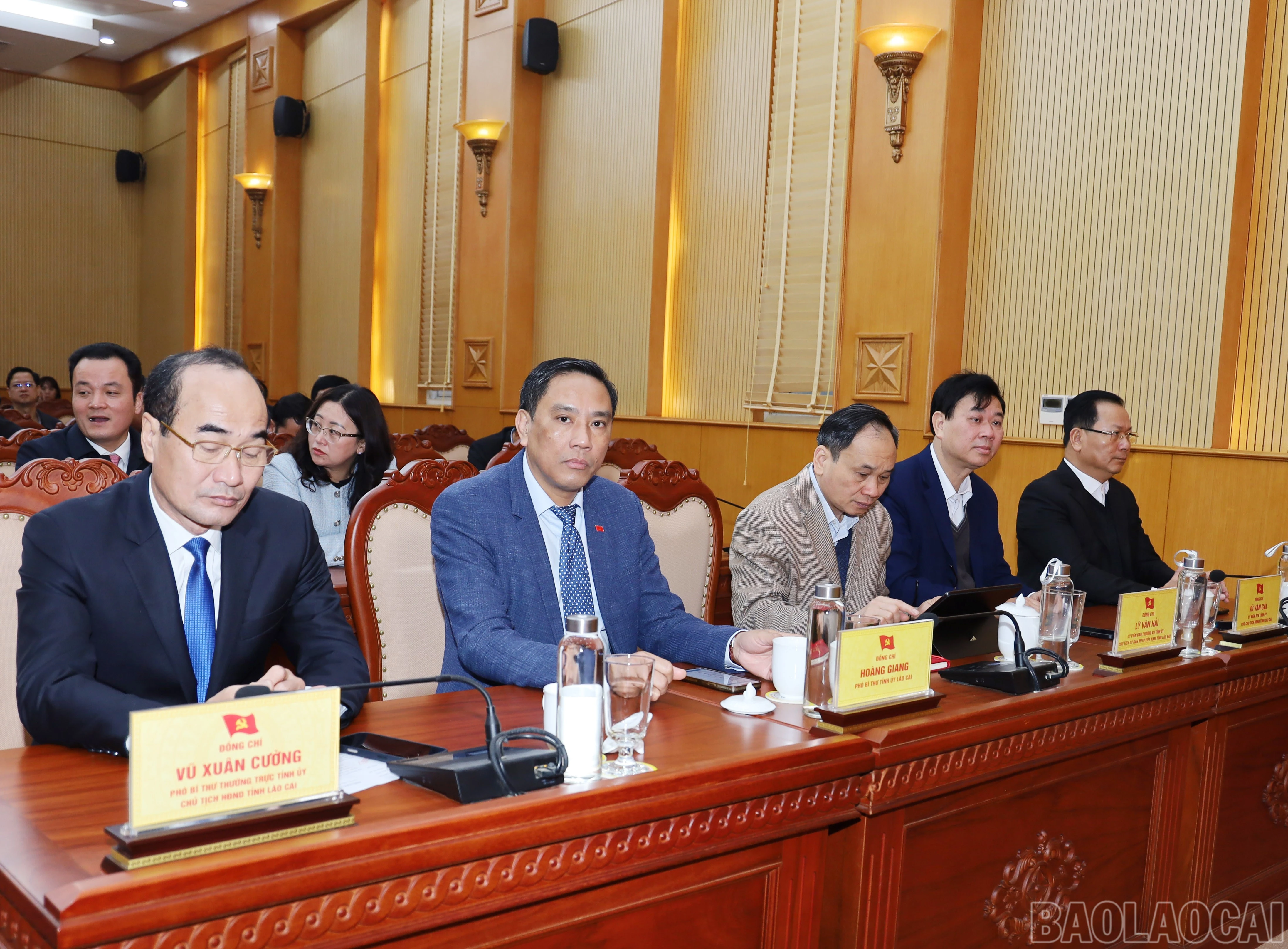 baolaocai-br_9884.jpg
