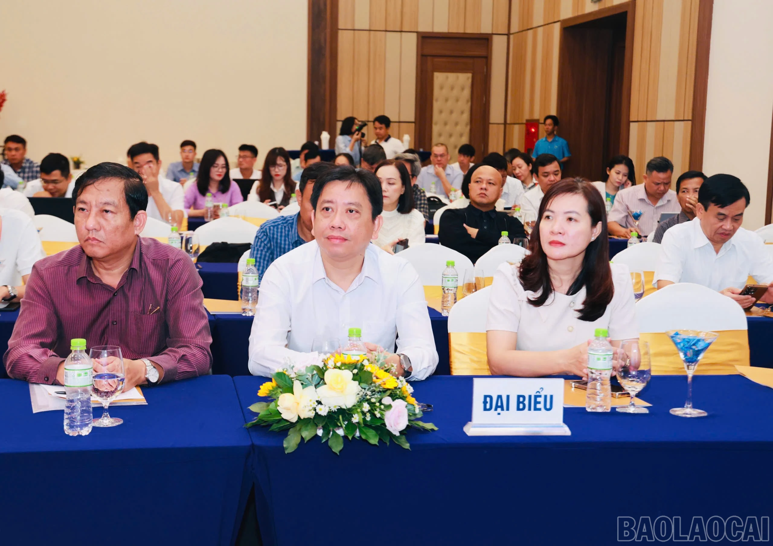 baolaocai-br_113.jpg
