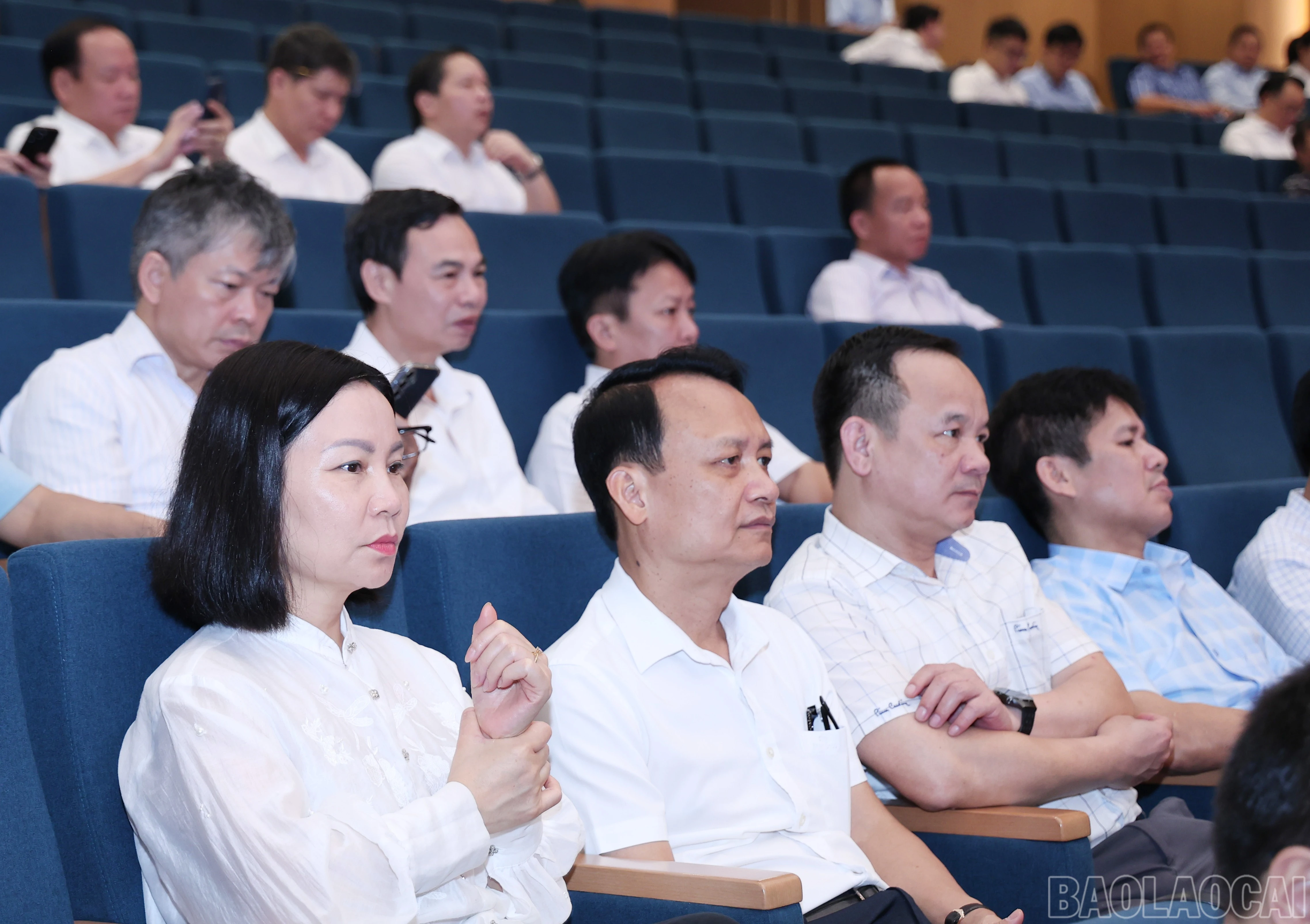 baolaocai-br_img-1634.jpg
