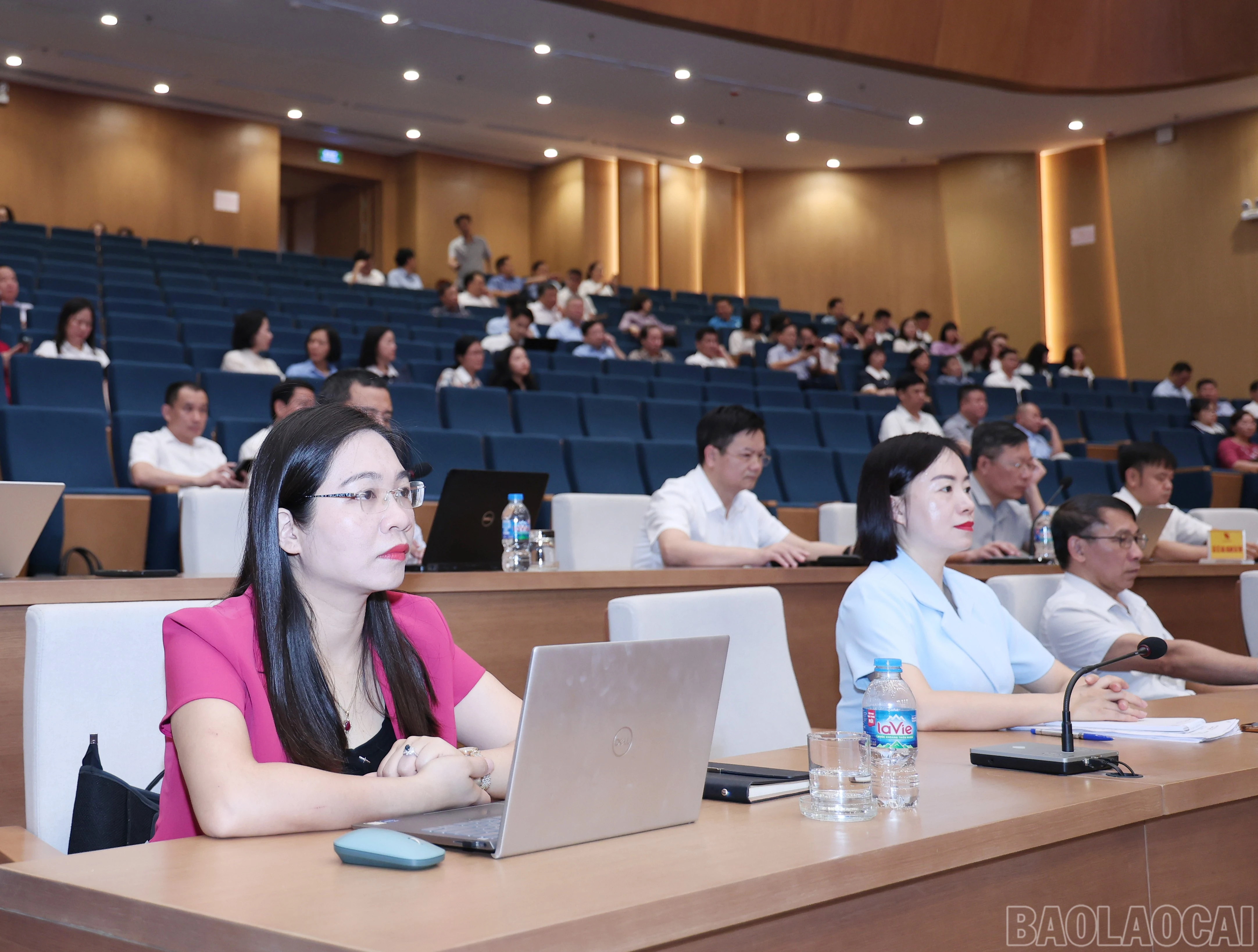 baolaocai-br_img-1586.jpg