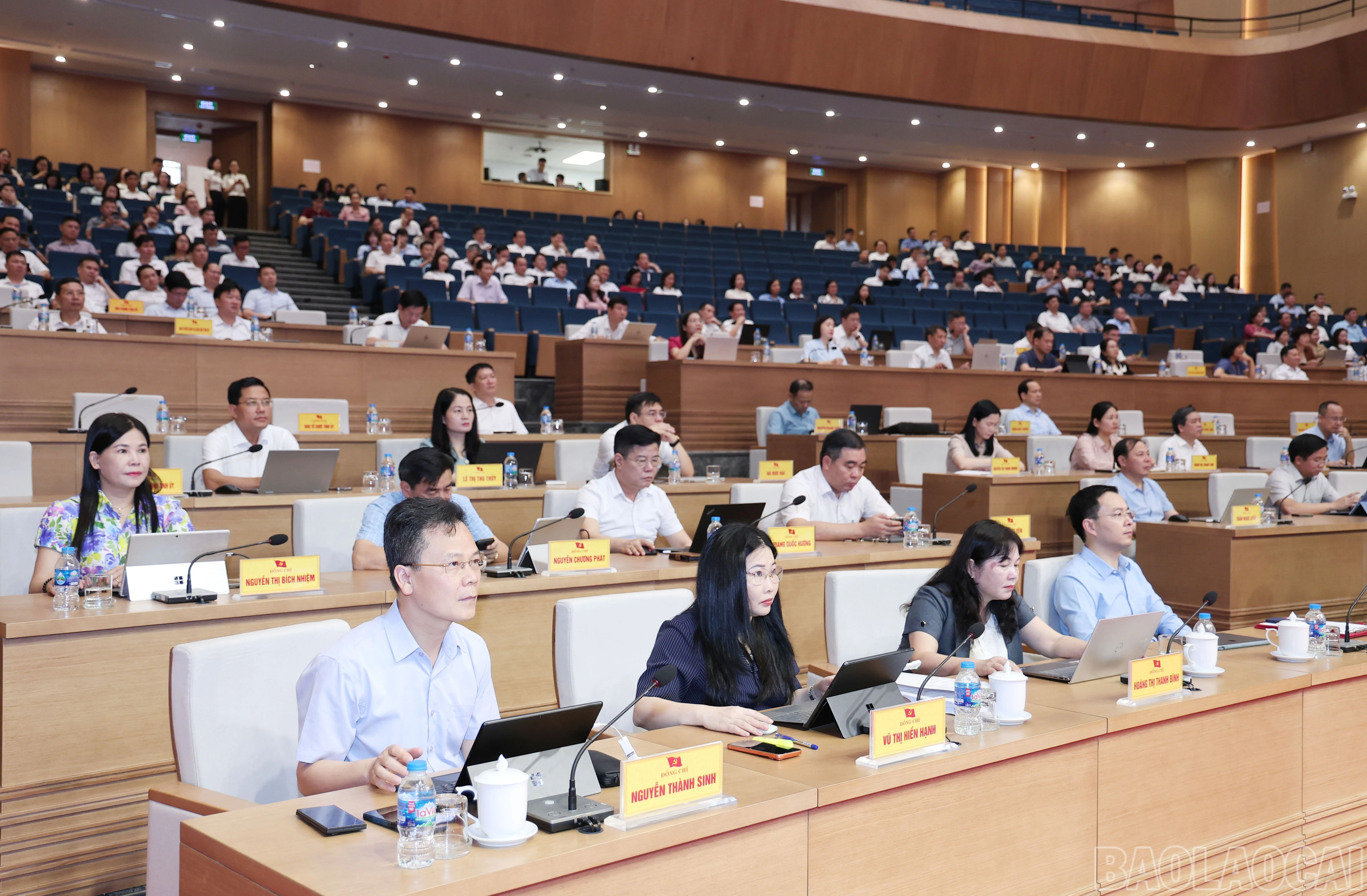 baolaocai-br_img-1570.jpg