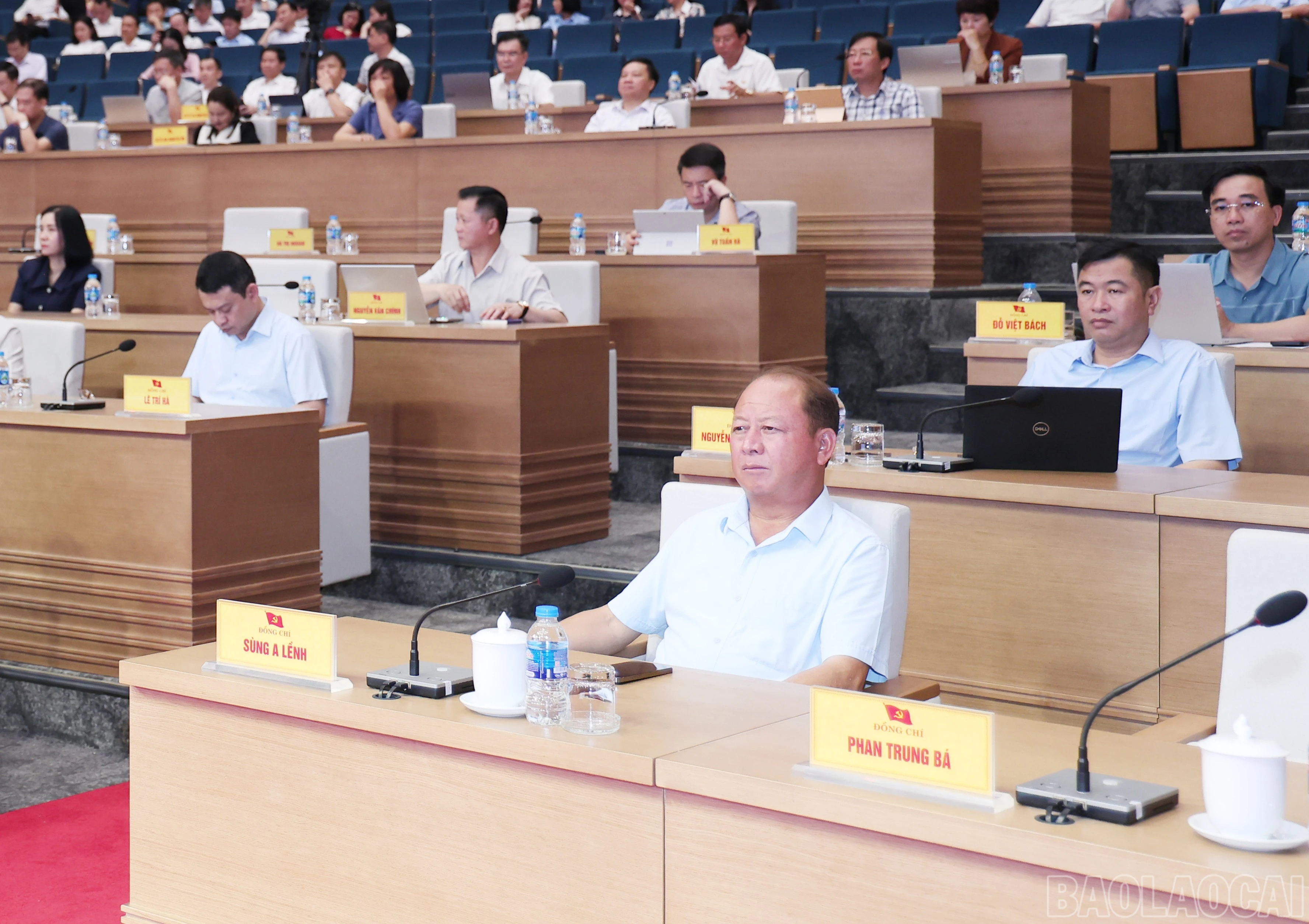 baolaocai-br_img-1604.jpg