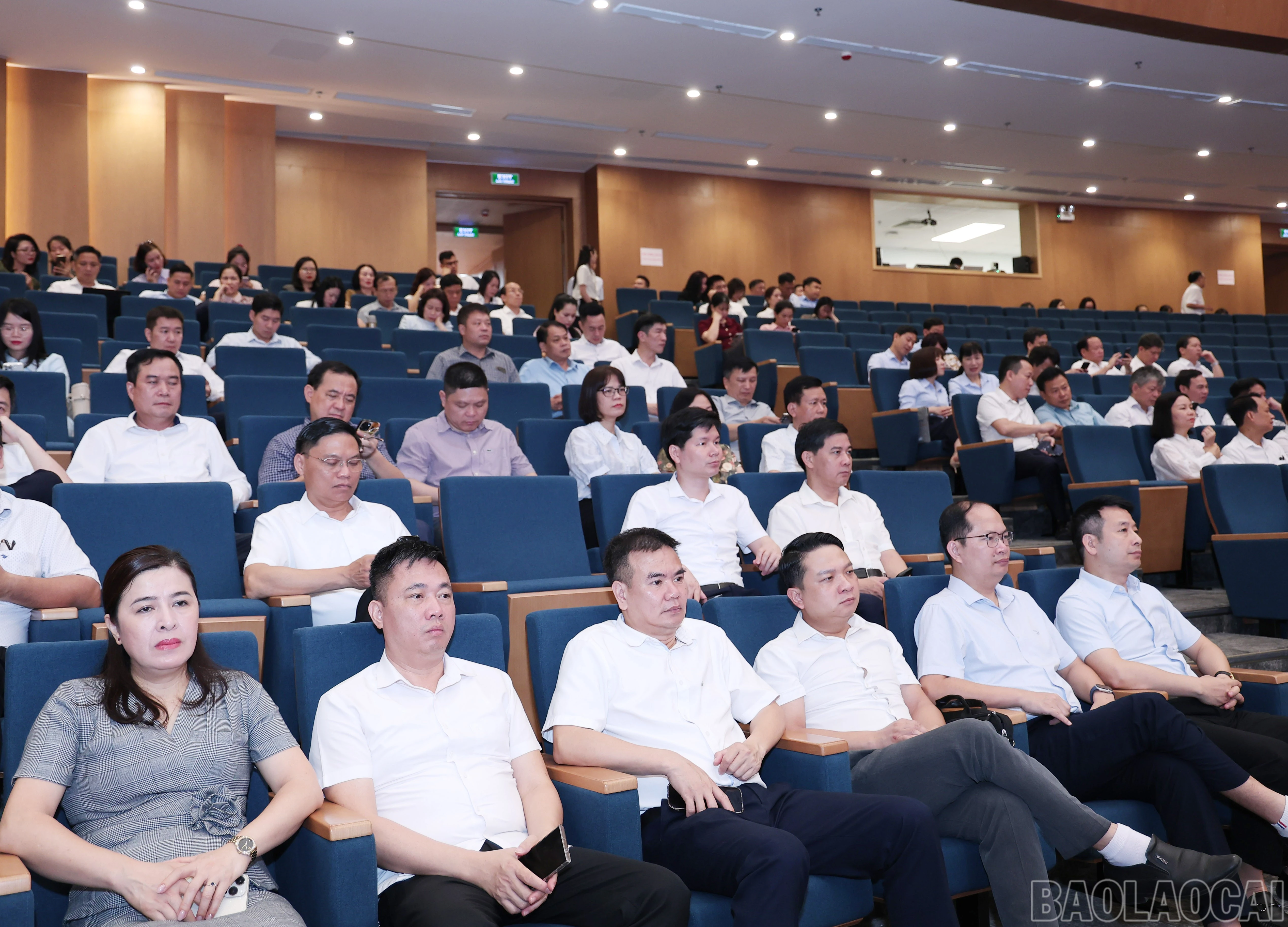 baolaocai-br_img-1628.jpg
