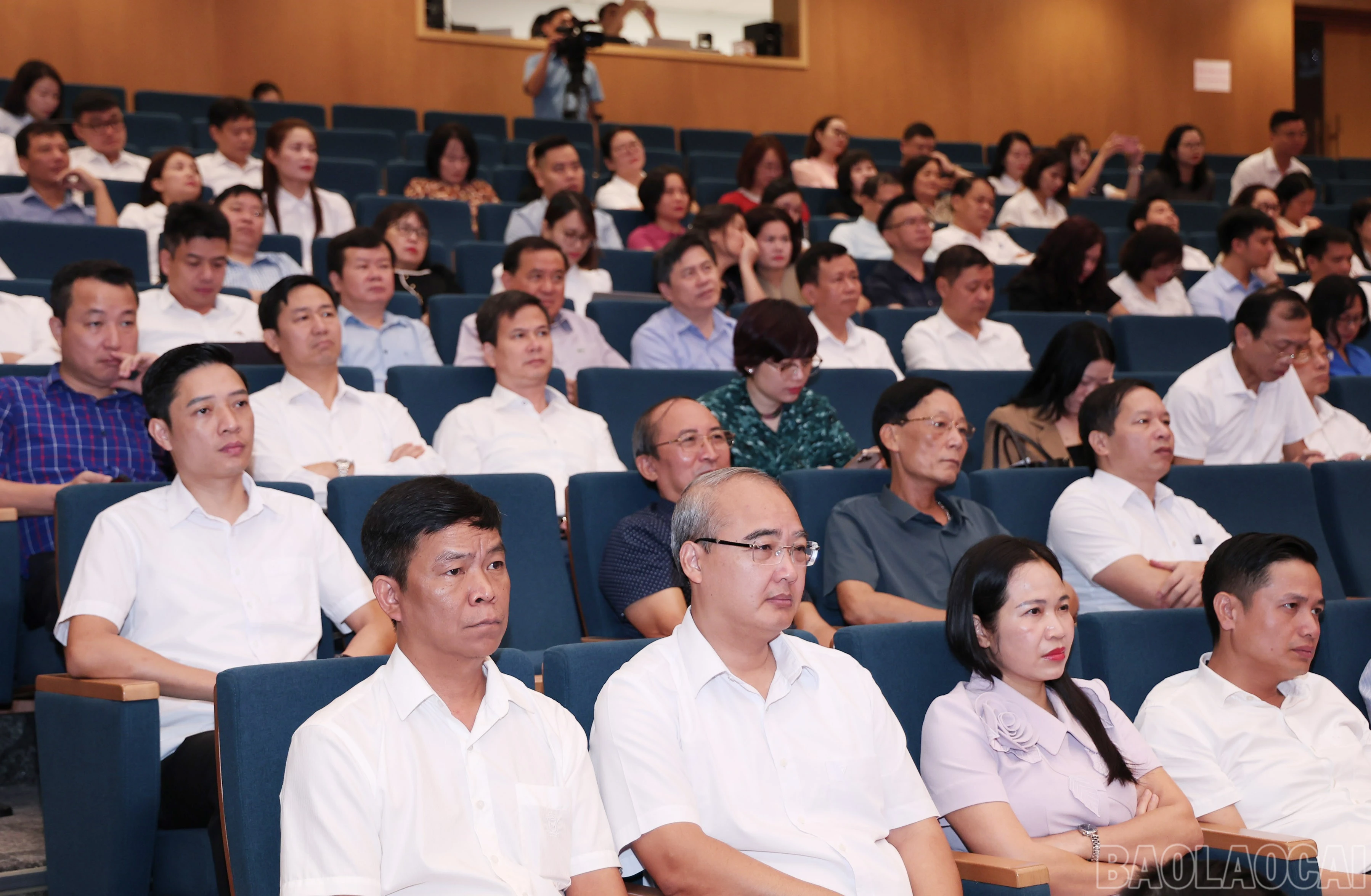 baolaocai-br_img-1862.jpg