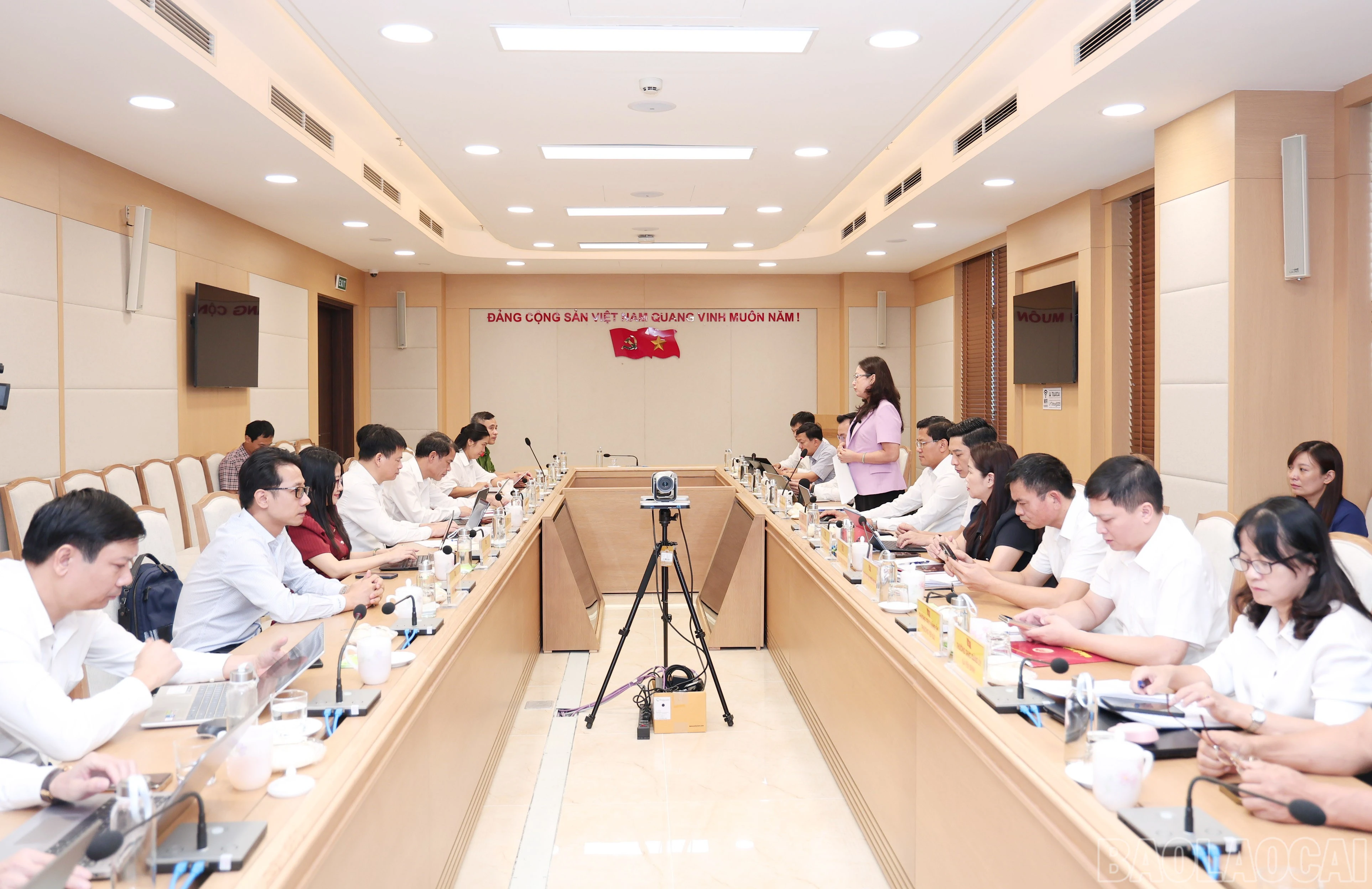baolaocai-br_img-2085.jpg