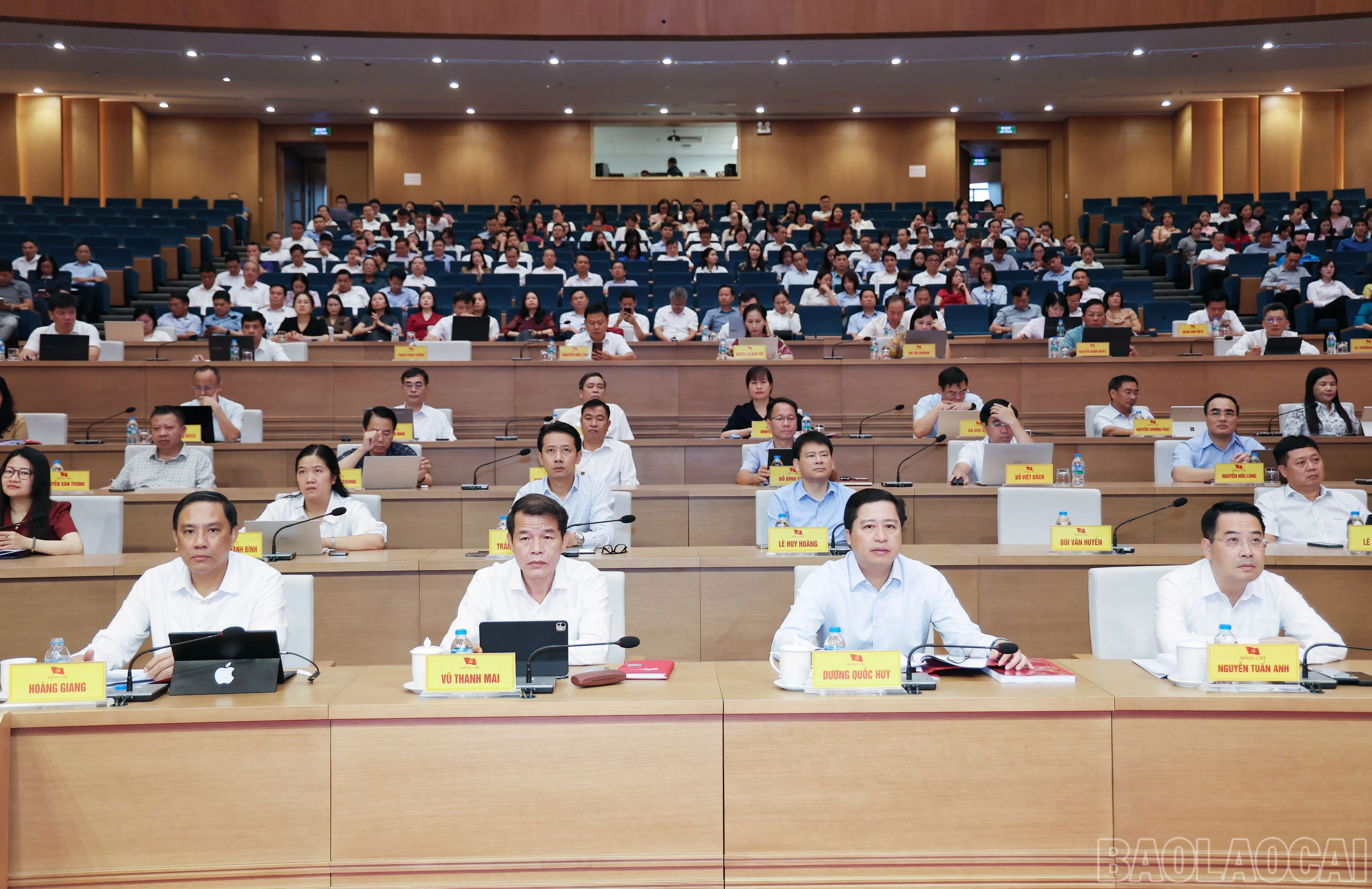 baolaocai-br_img-1881.jpg