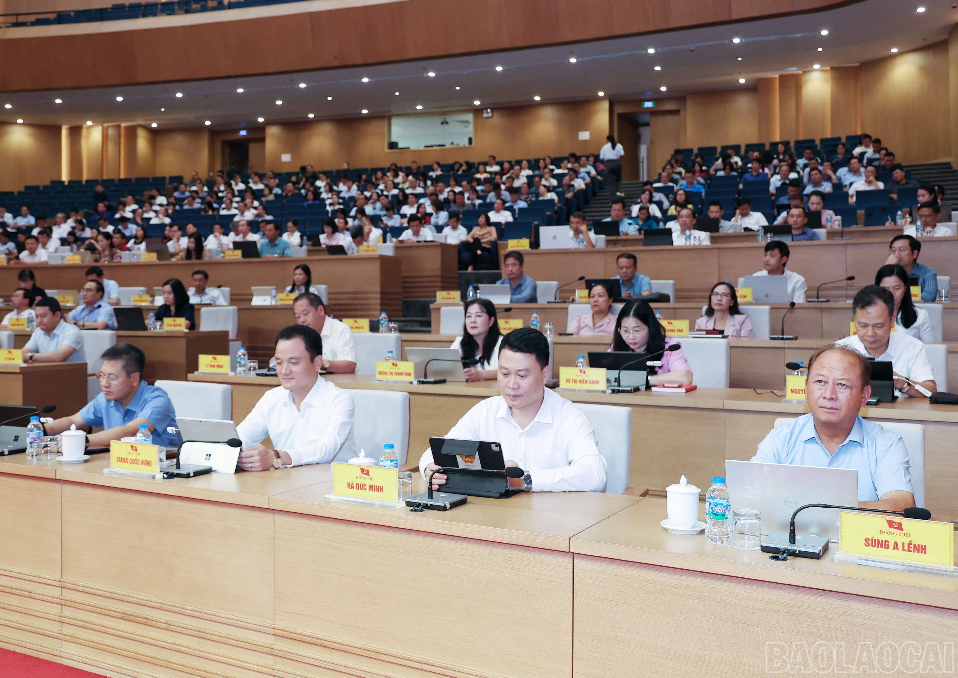 baolaocai-br_img-1906.jpg
