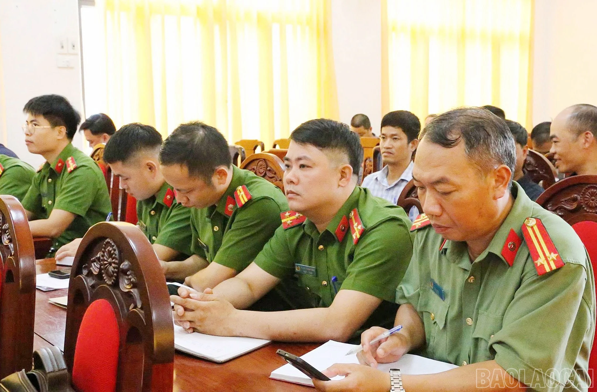 baolaocai-br_22.jpg