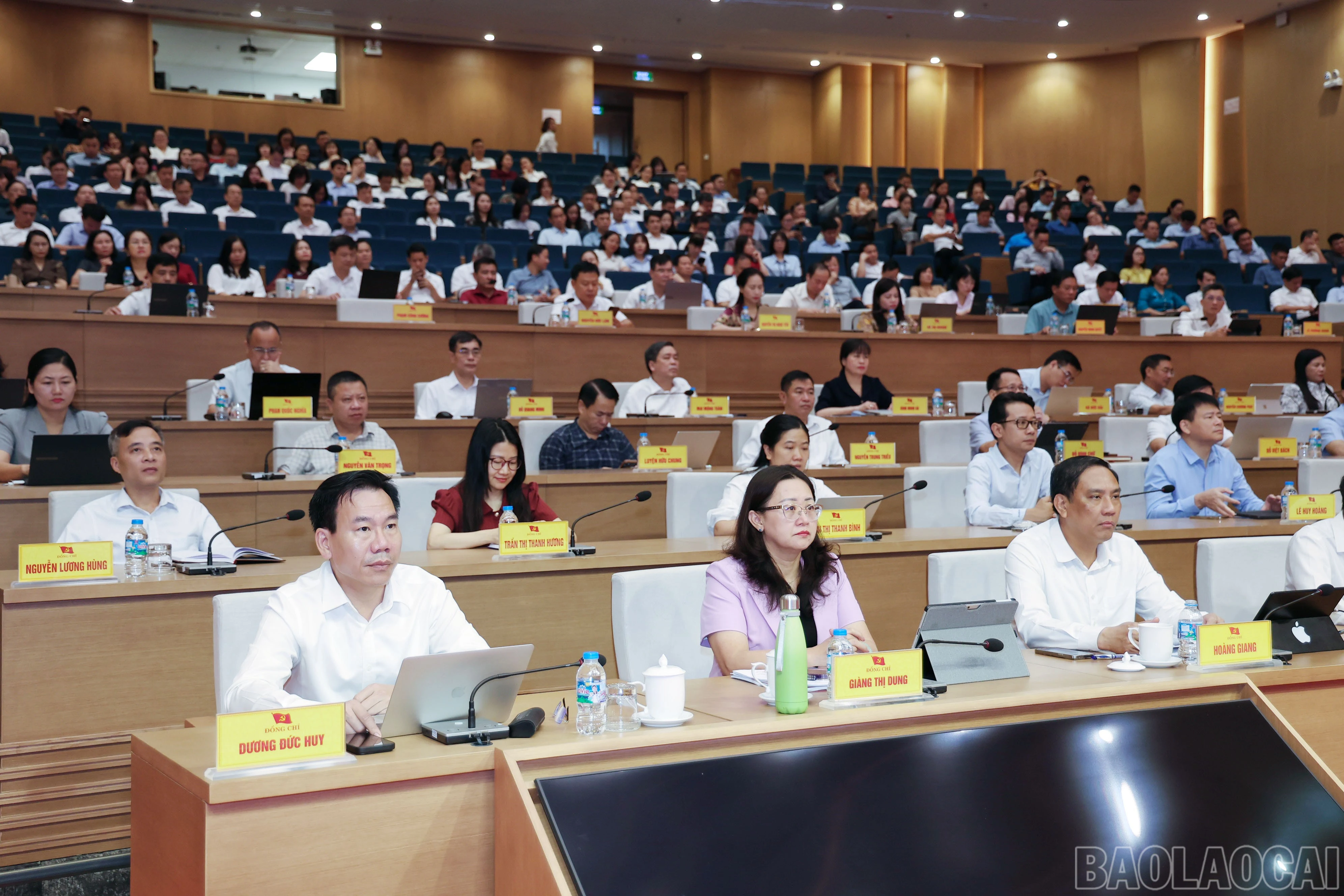 baolaocai-br_img-1894.jpg