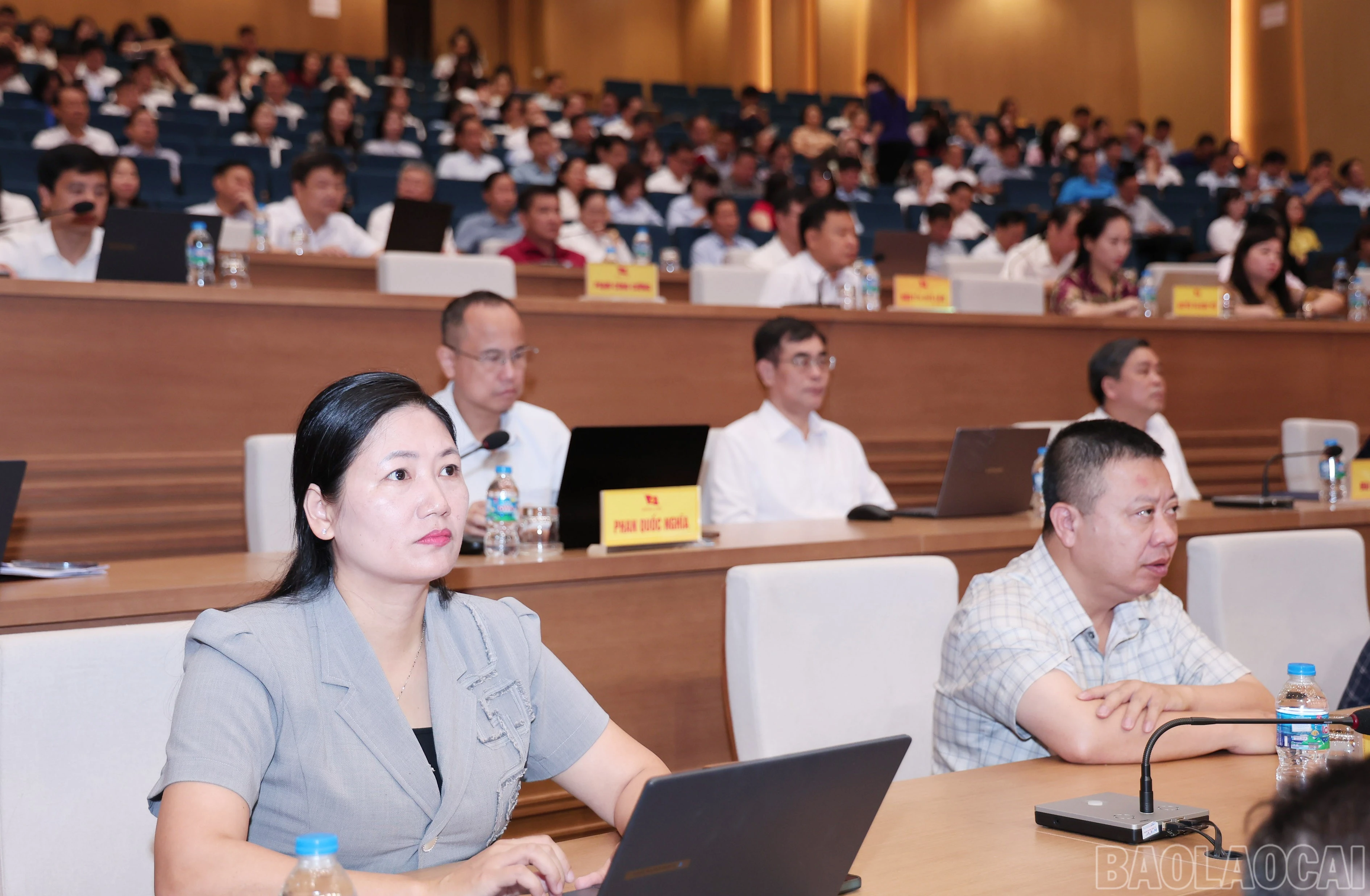 baolaocai-br_img-1869.jpg