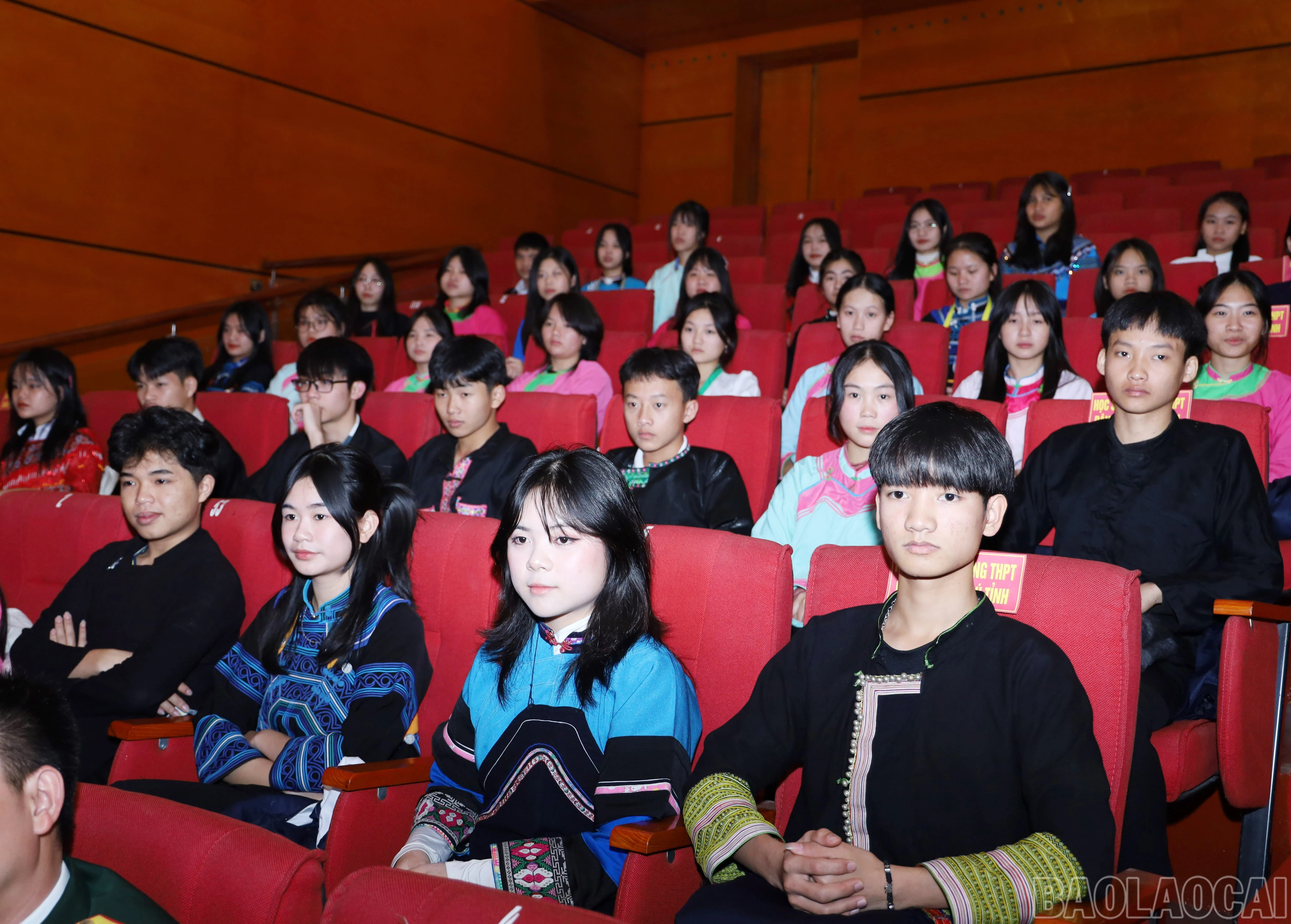 baolaocai-br_7423.jpg