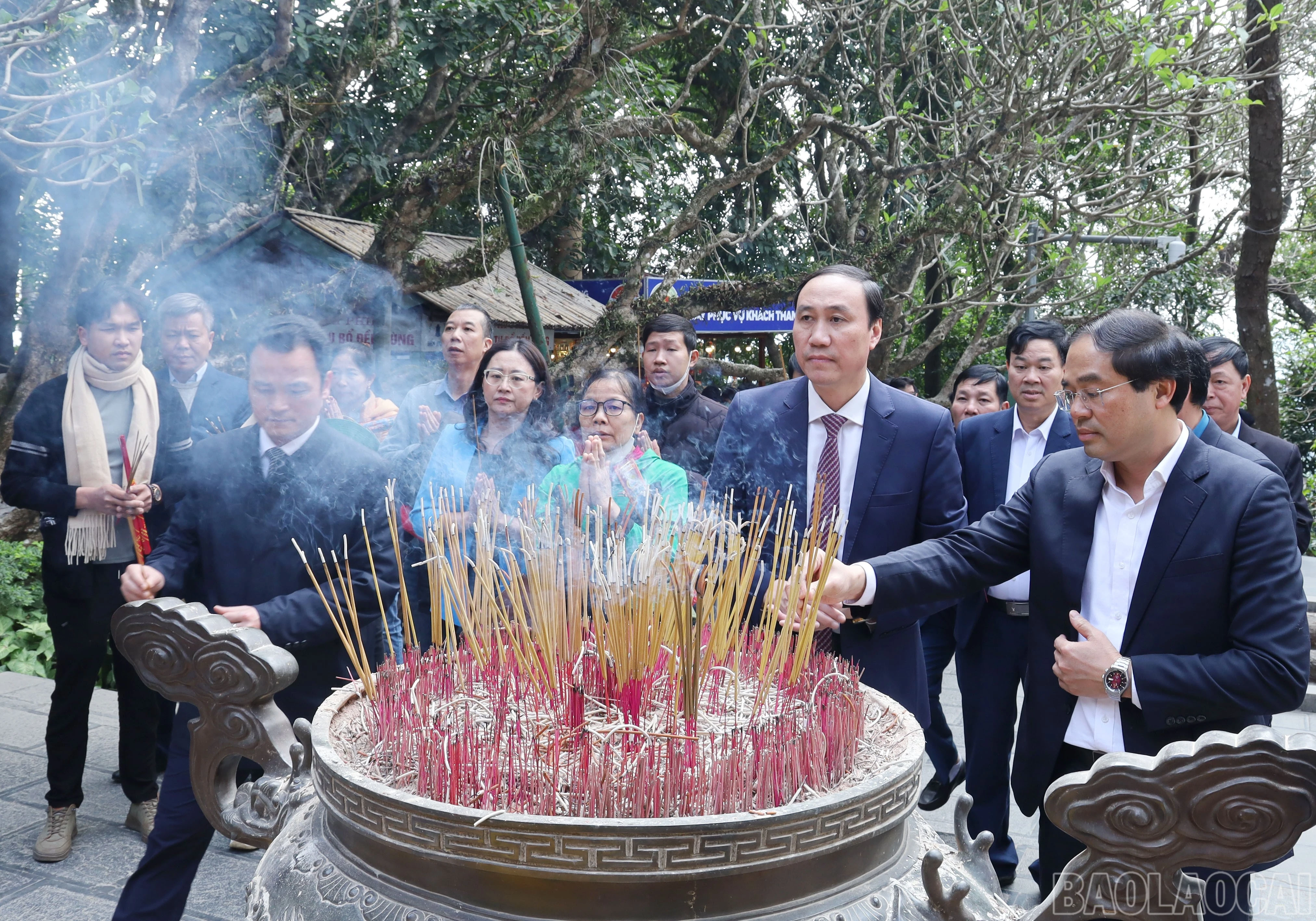 baolaocai-br_9523.jpg