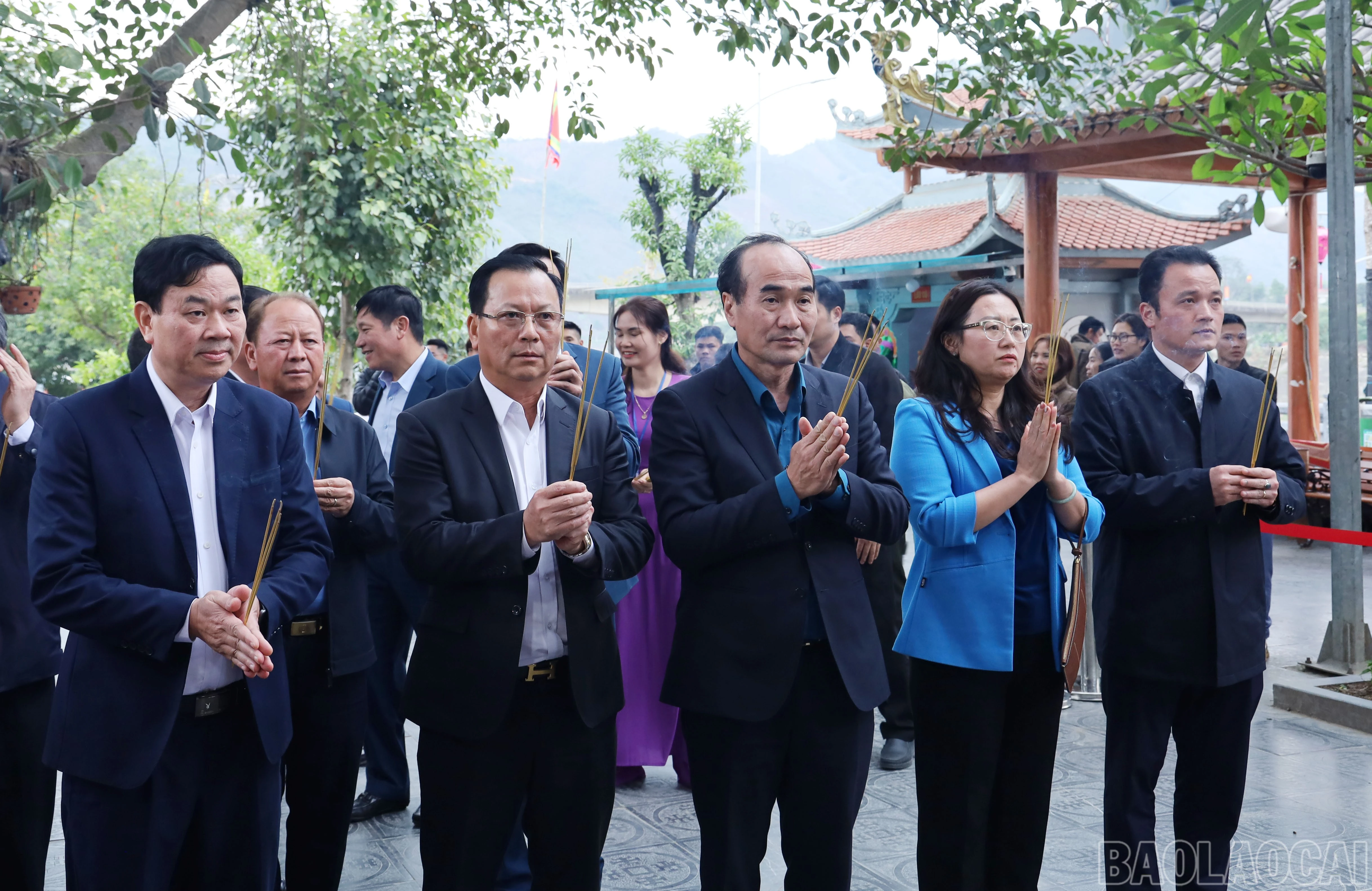 baolaocai-br_9592.jpg