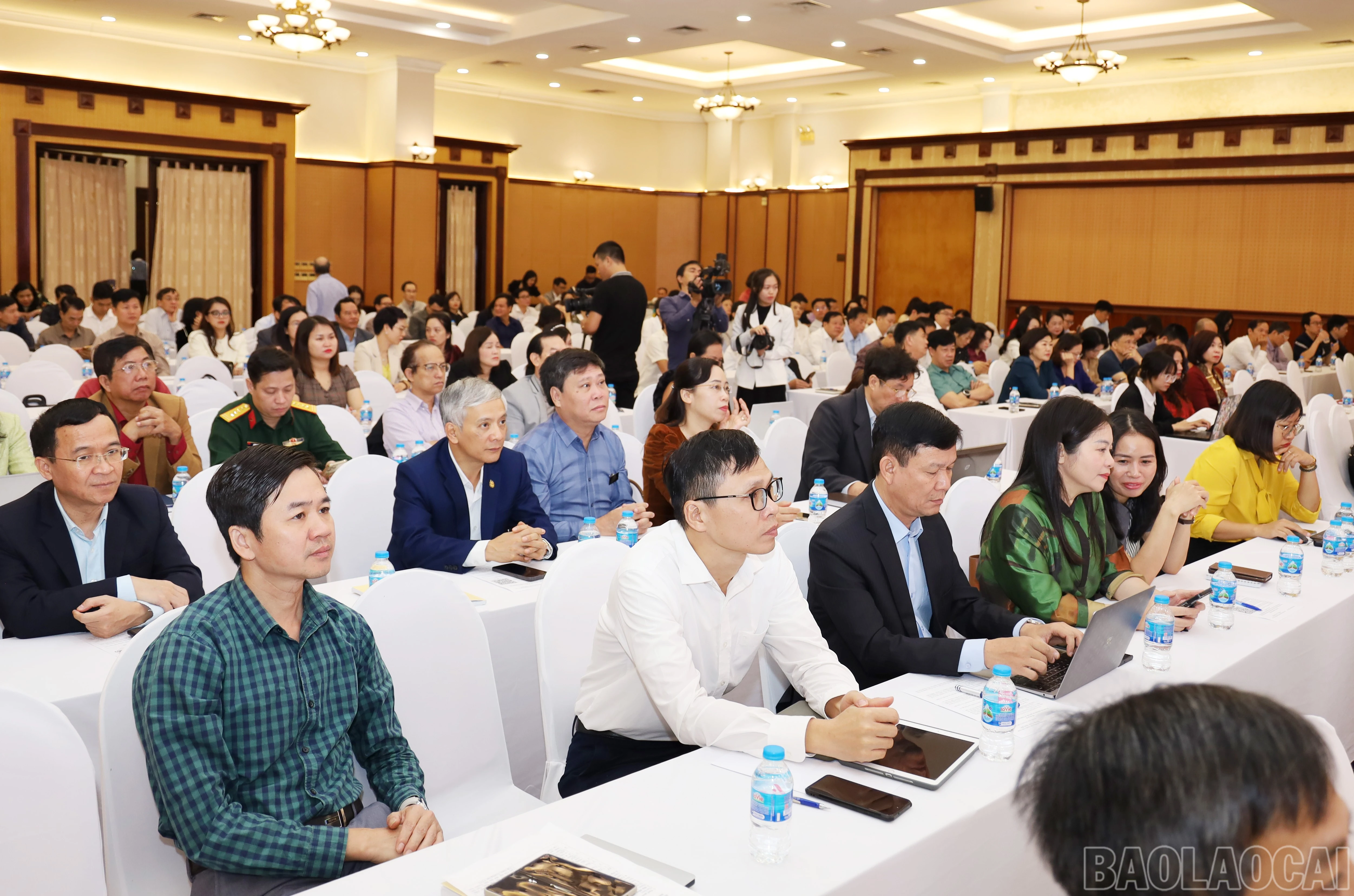 baolaocai-br_5791.jpg