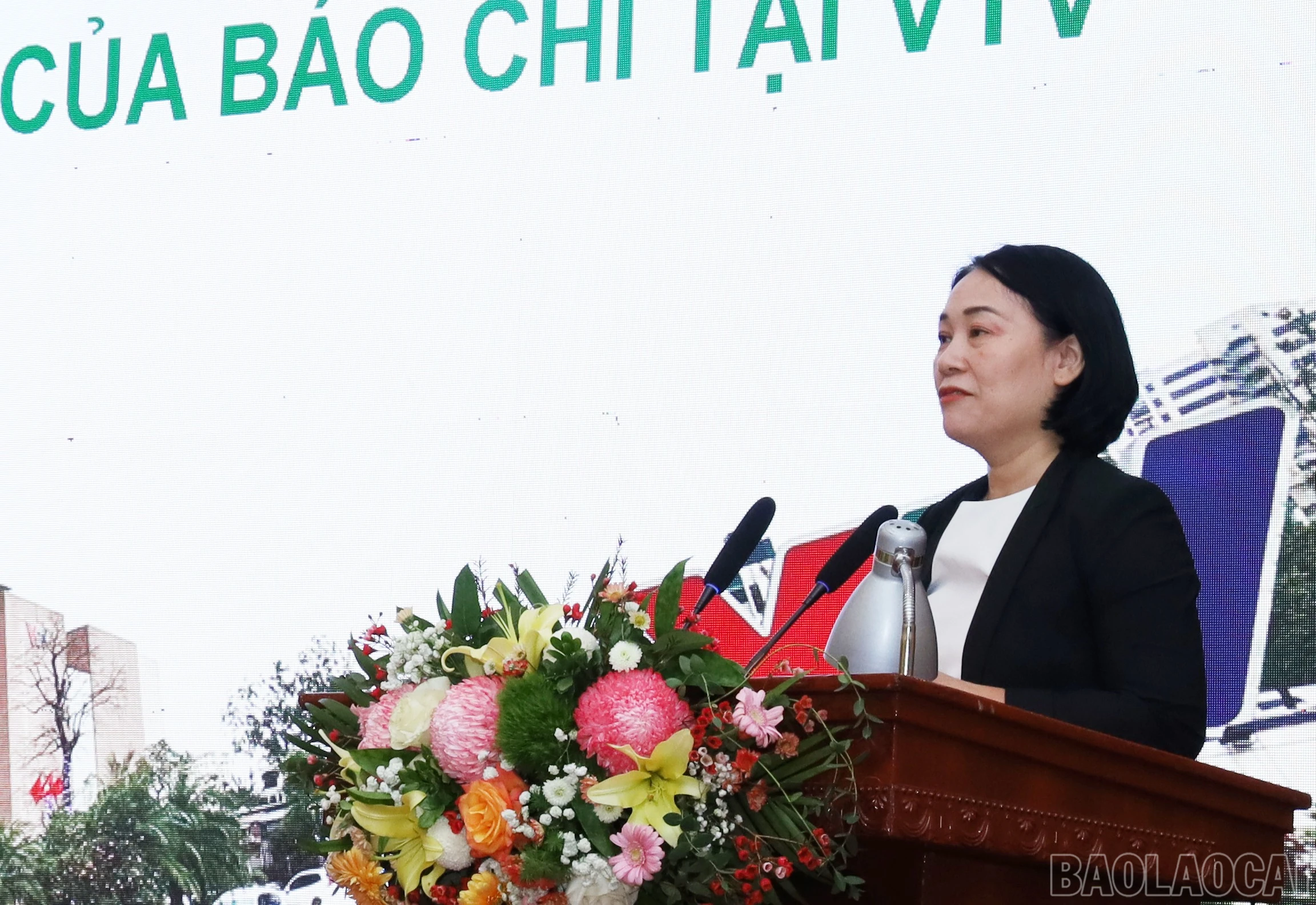 baolaocai-br_5795.jpg
