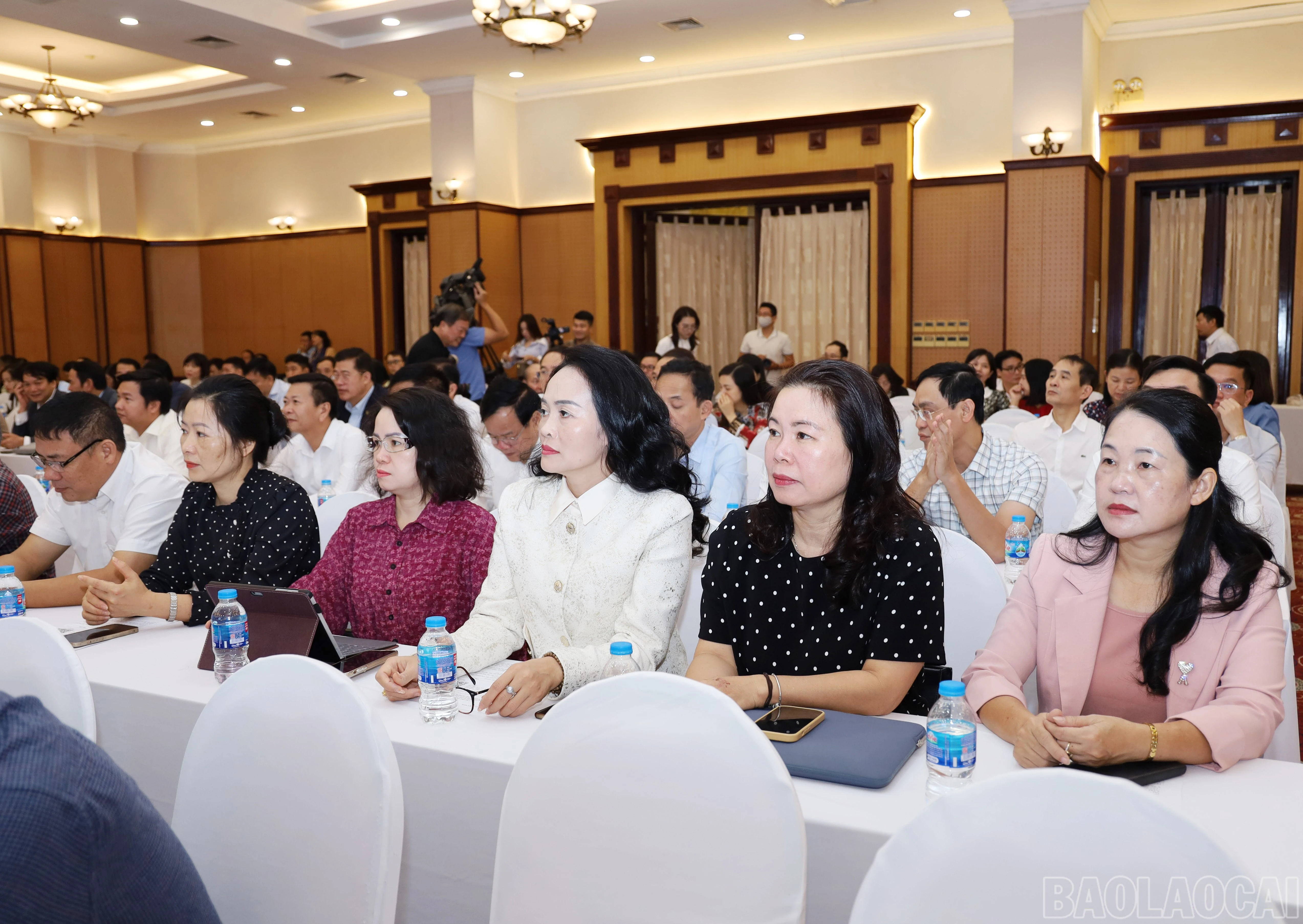 baolaocai-br_5778.jpg