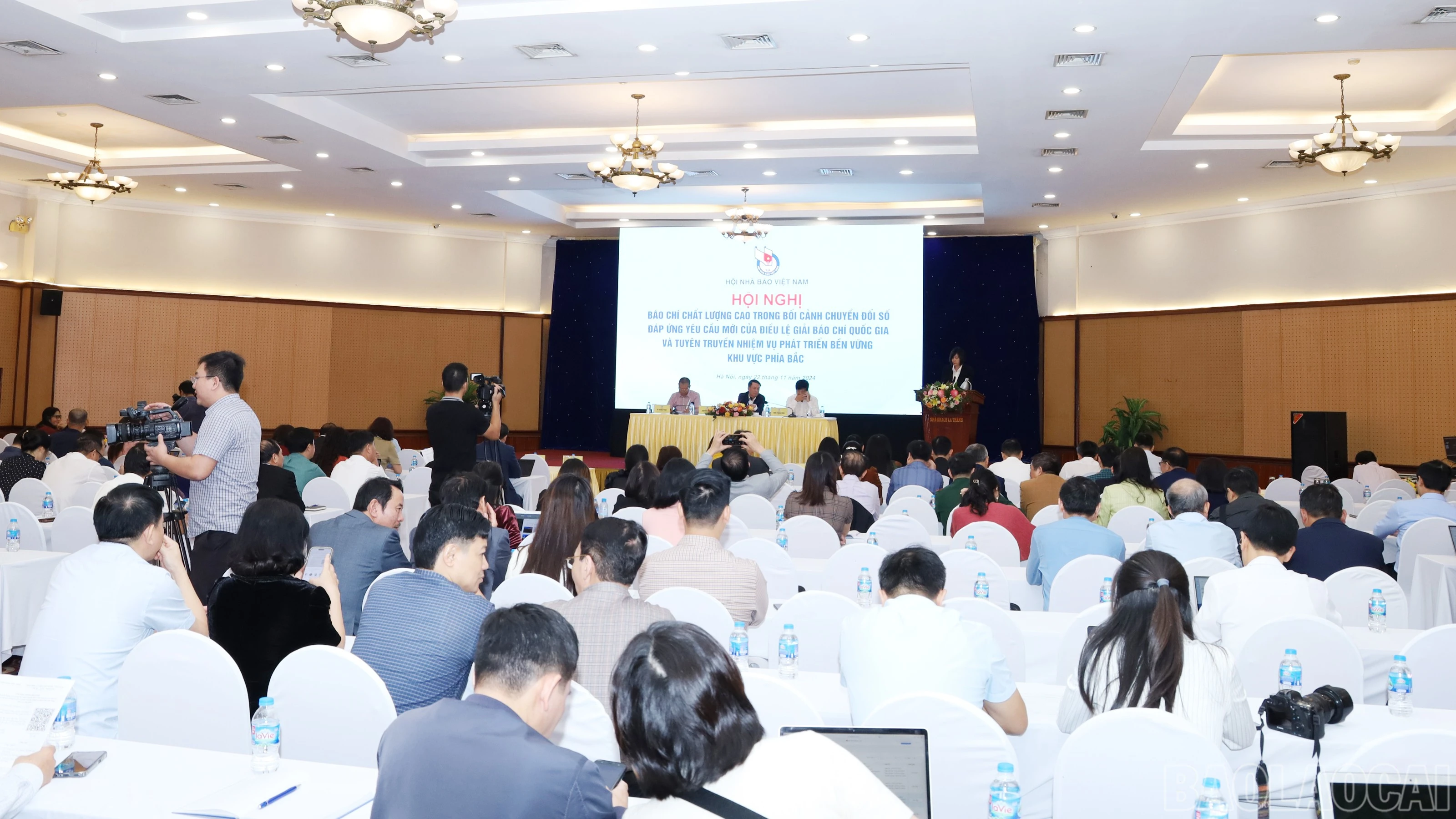 baolaocai-br_5780.jpg