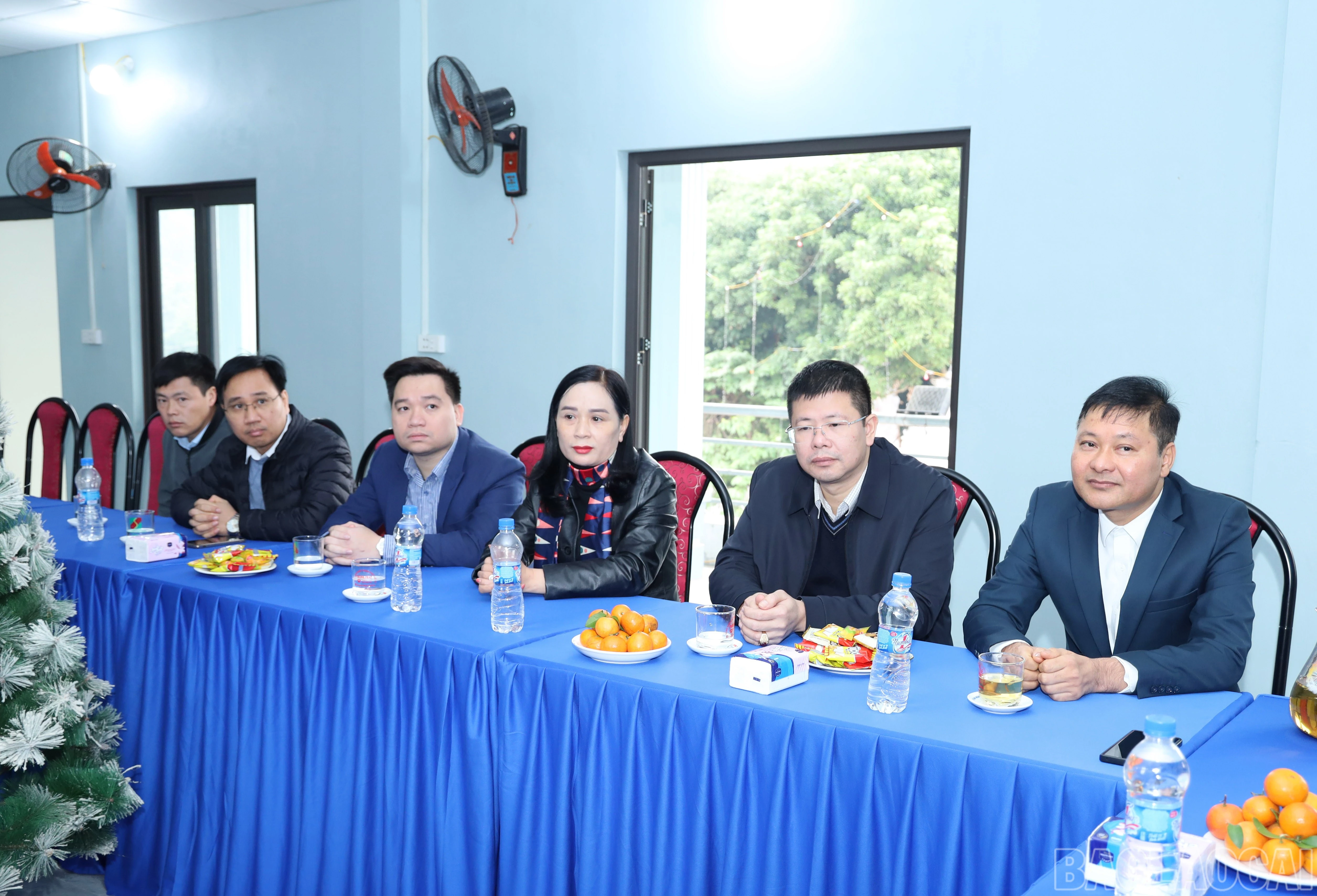 baolaocai-br_7627.jpg