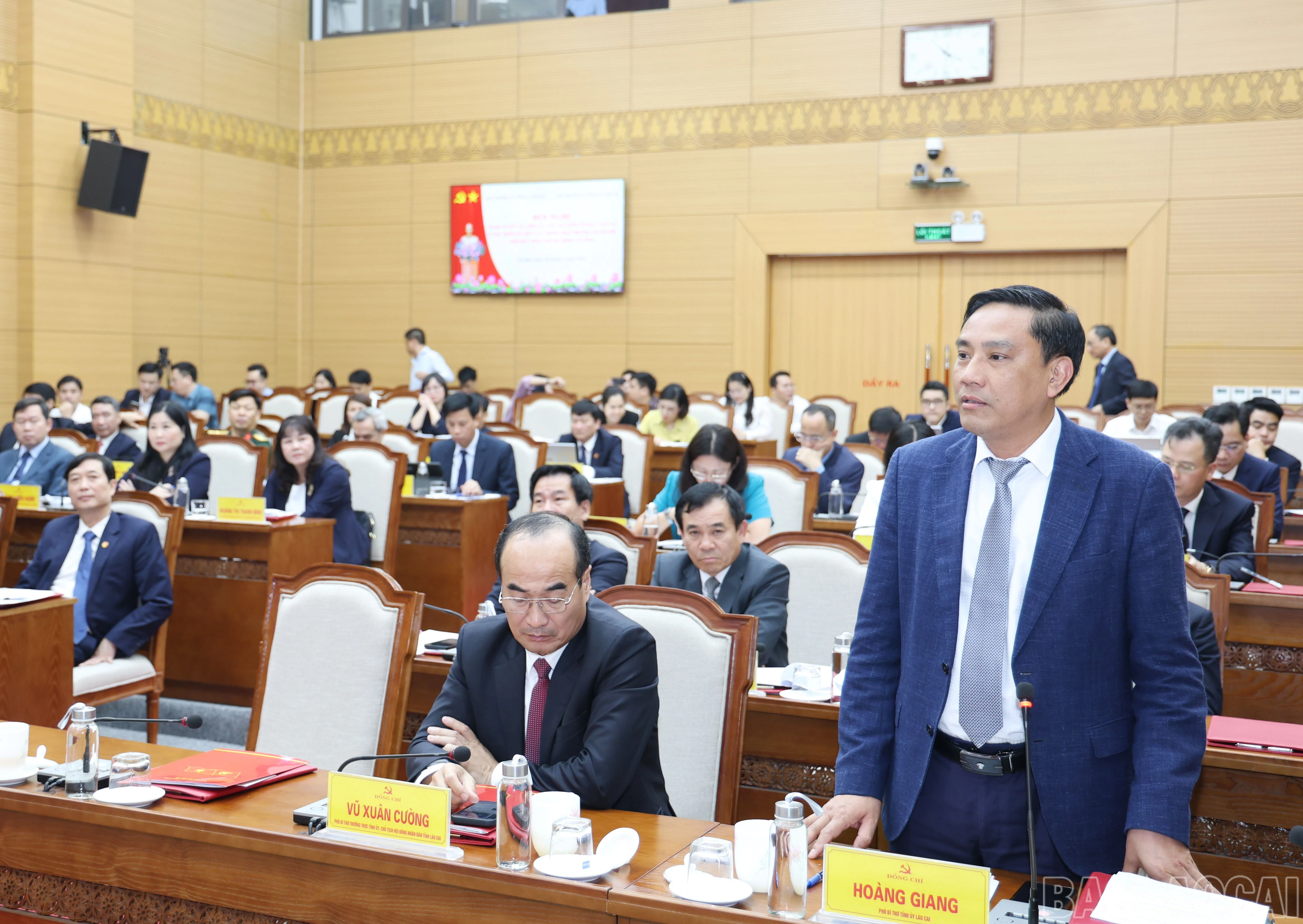 baolaocai-br_3413.jpg