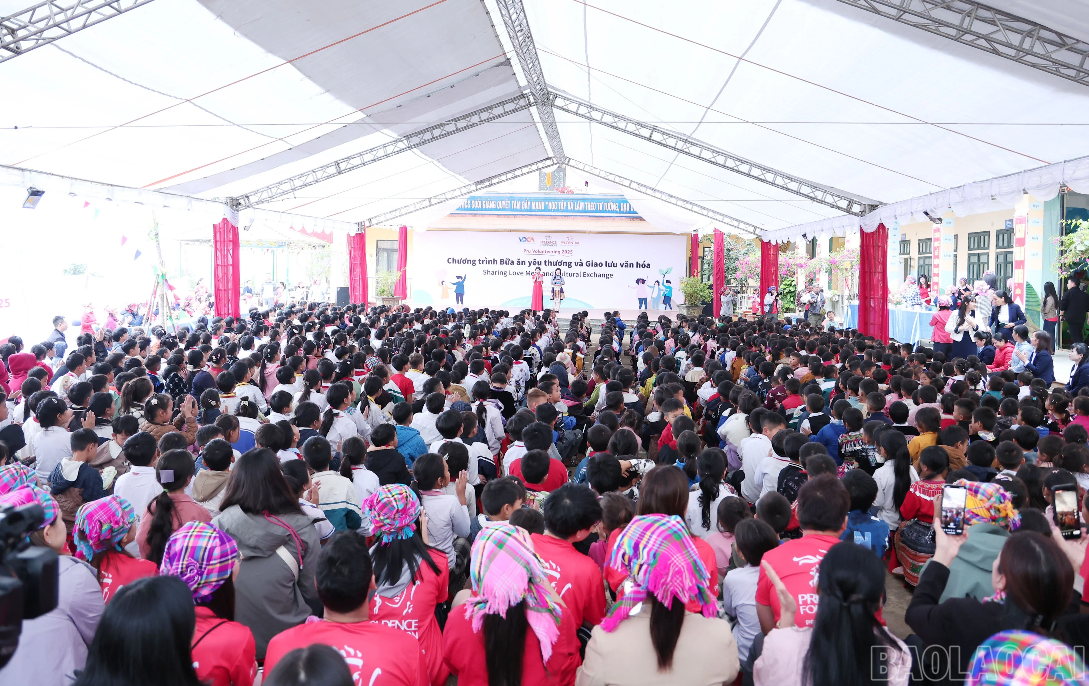 baolaocai-br_img-9640.jpg