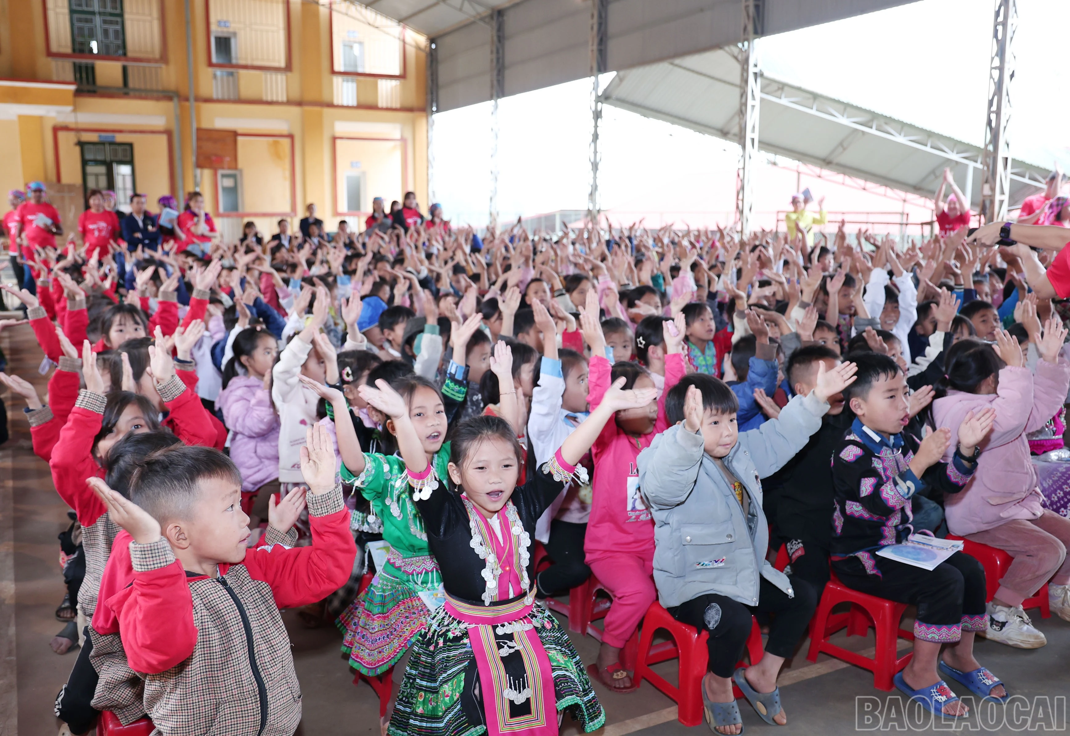 baolaocai-br_img-9513.jpg