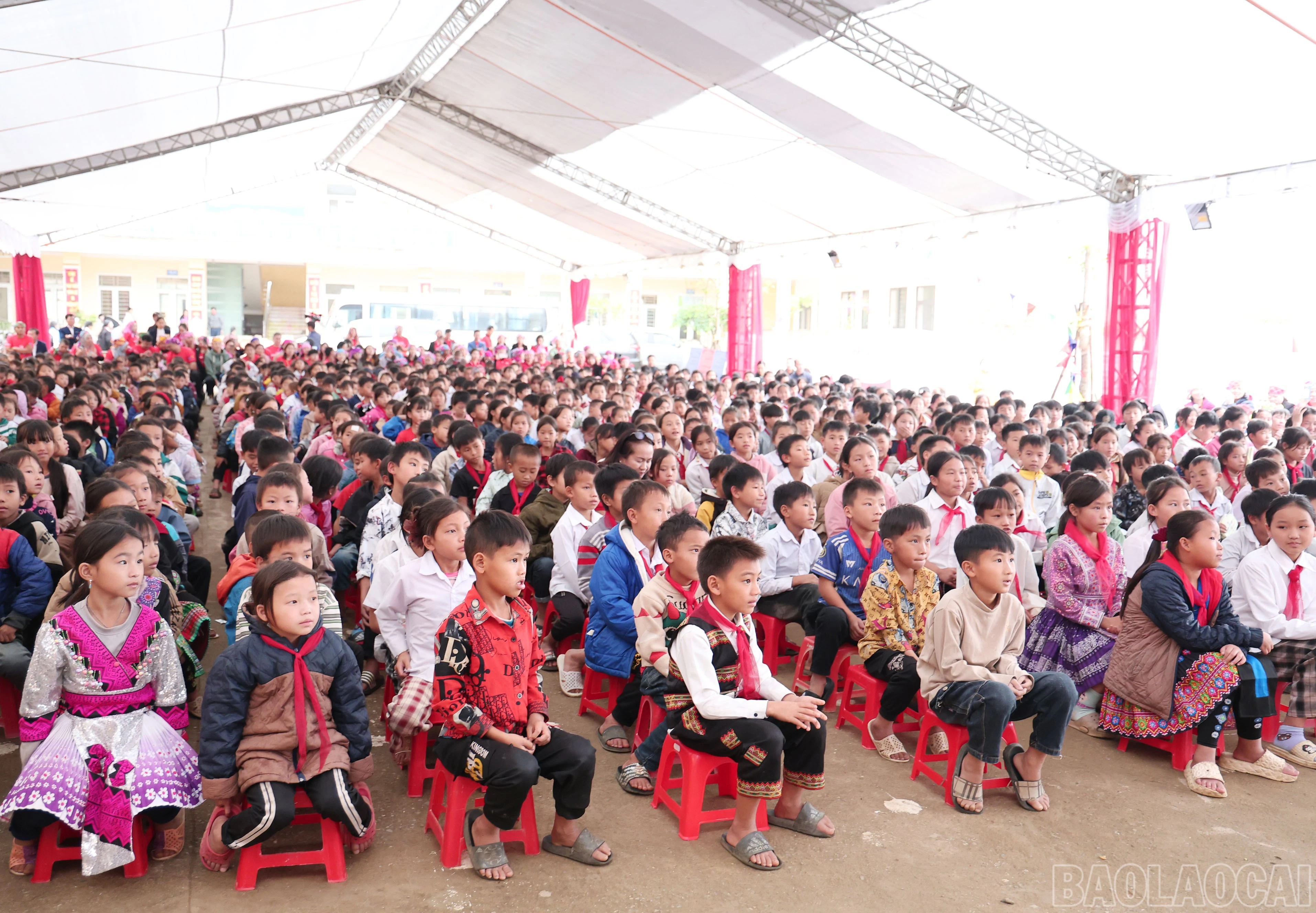baolaocai-br_img-9671.jpg