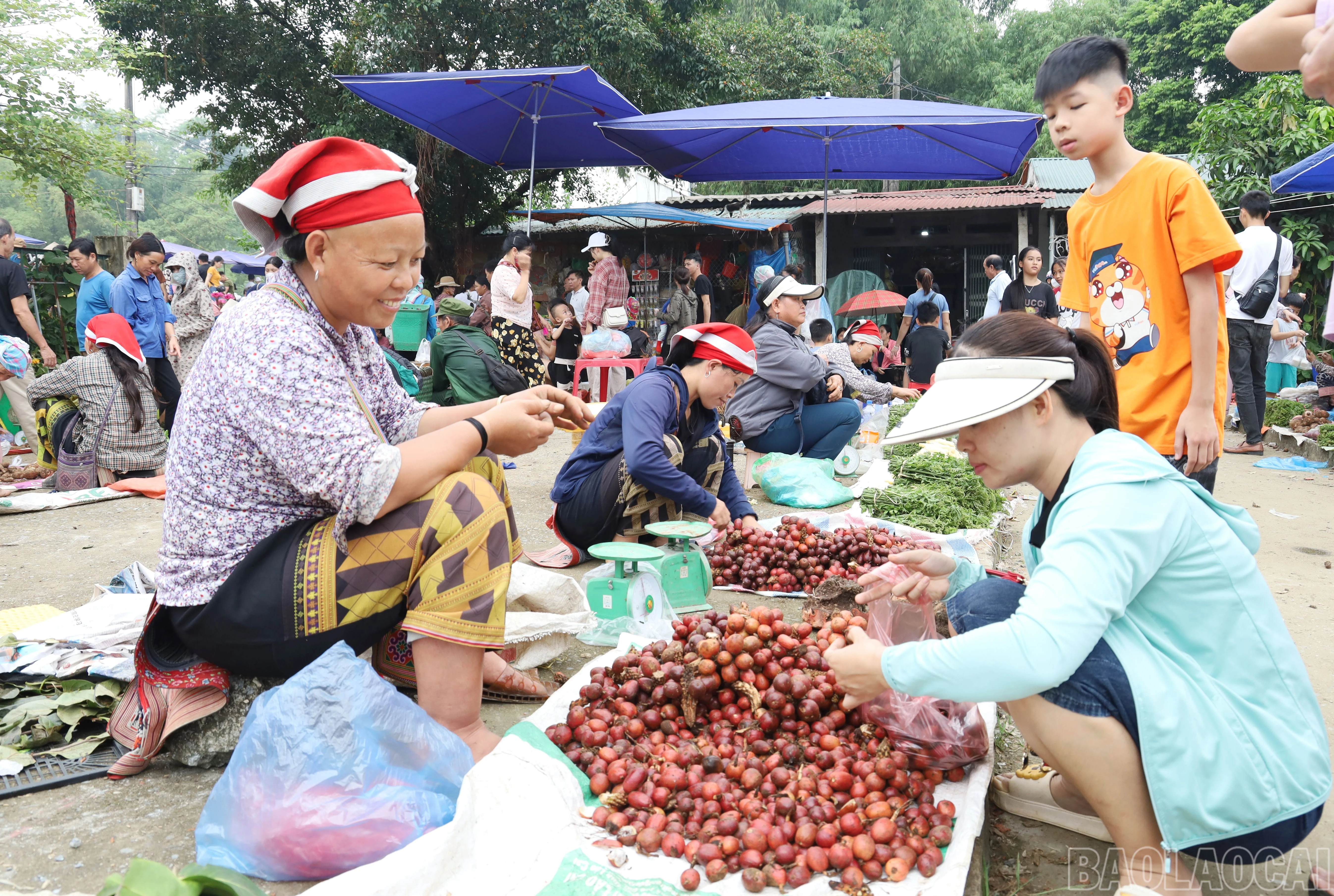 baolaocai-br_8361.jpg