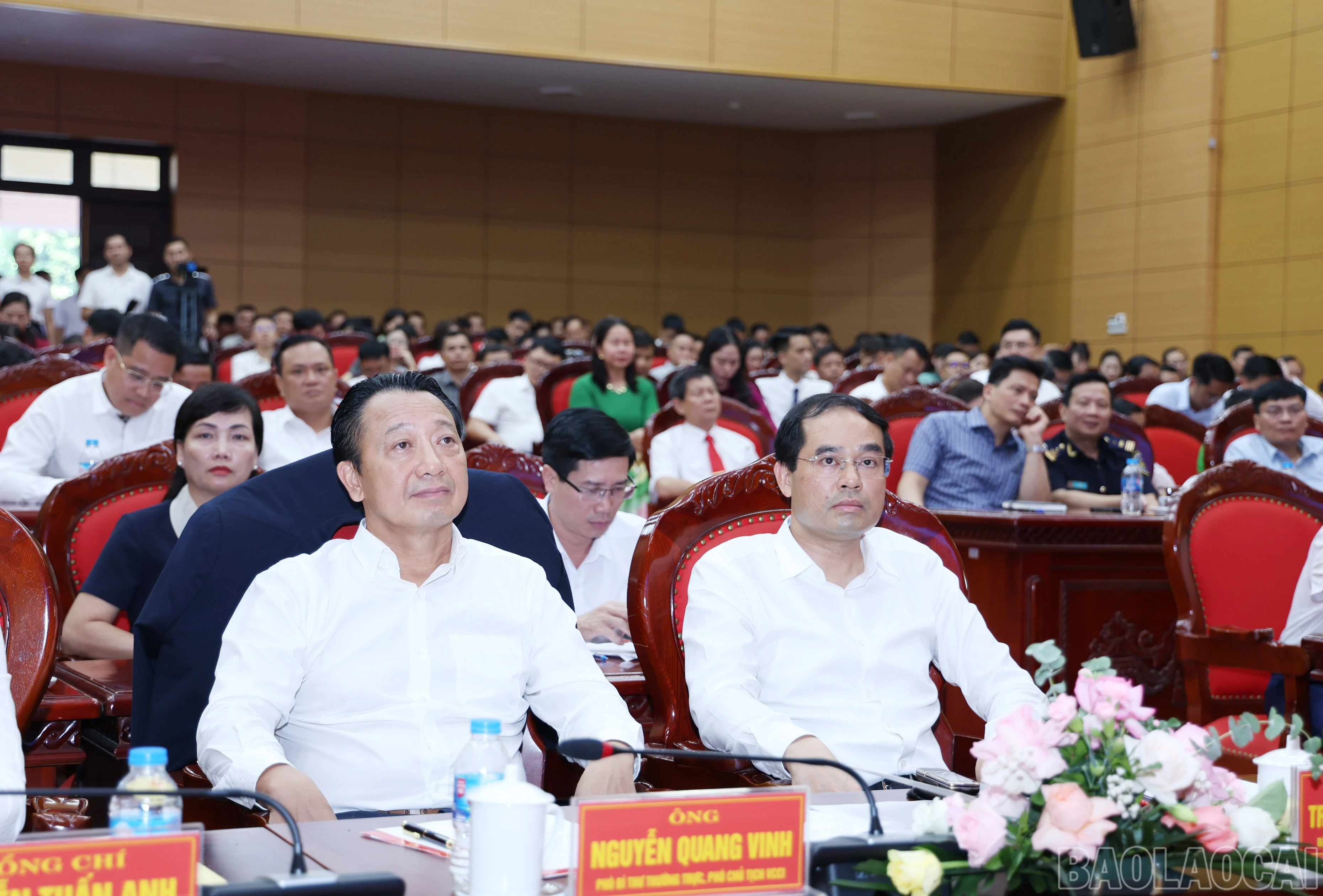 baolaocai-br_img-8349.jpg