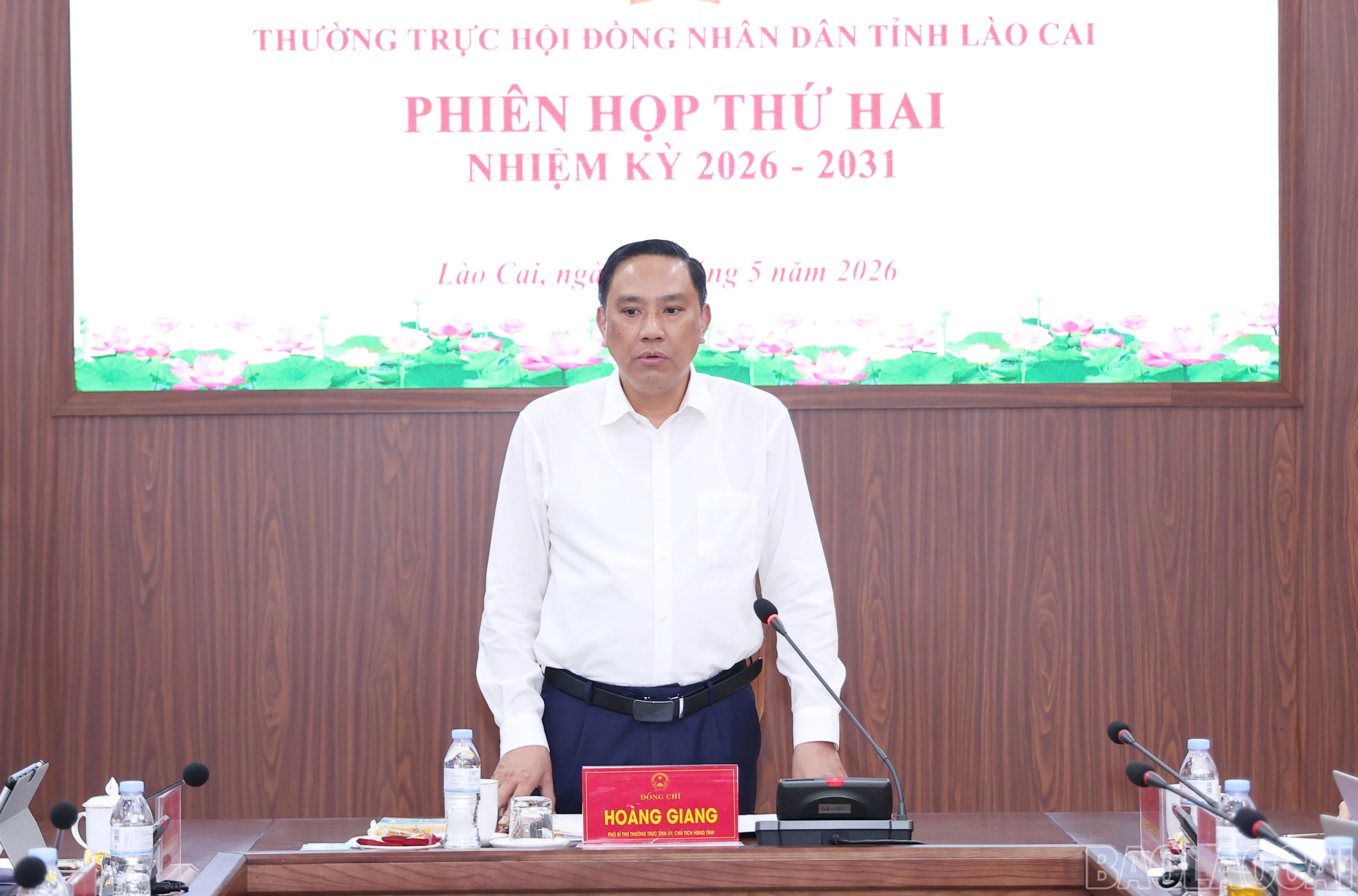 baolaocai-br_img-3223.jpg