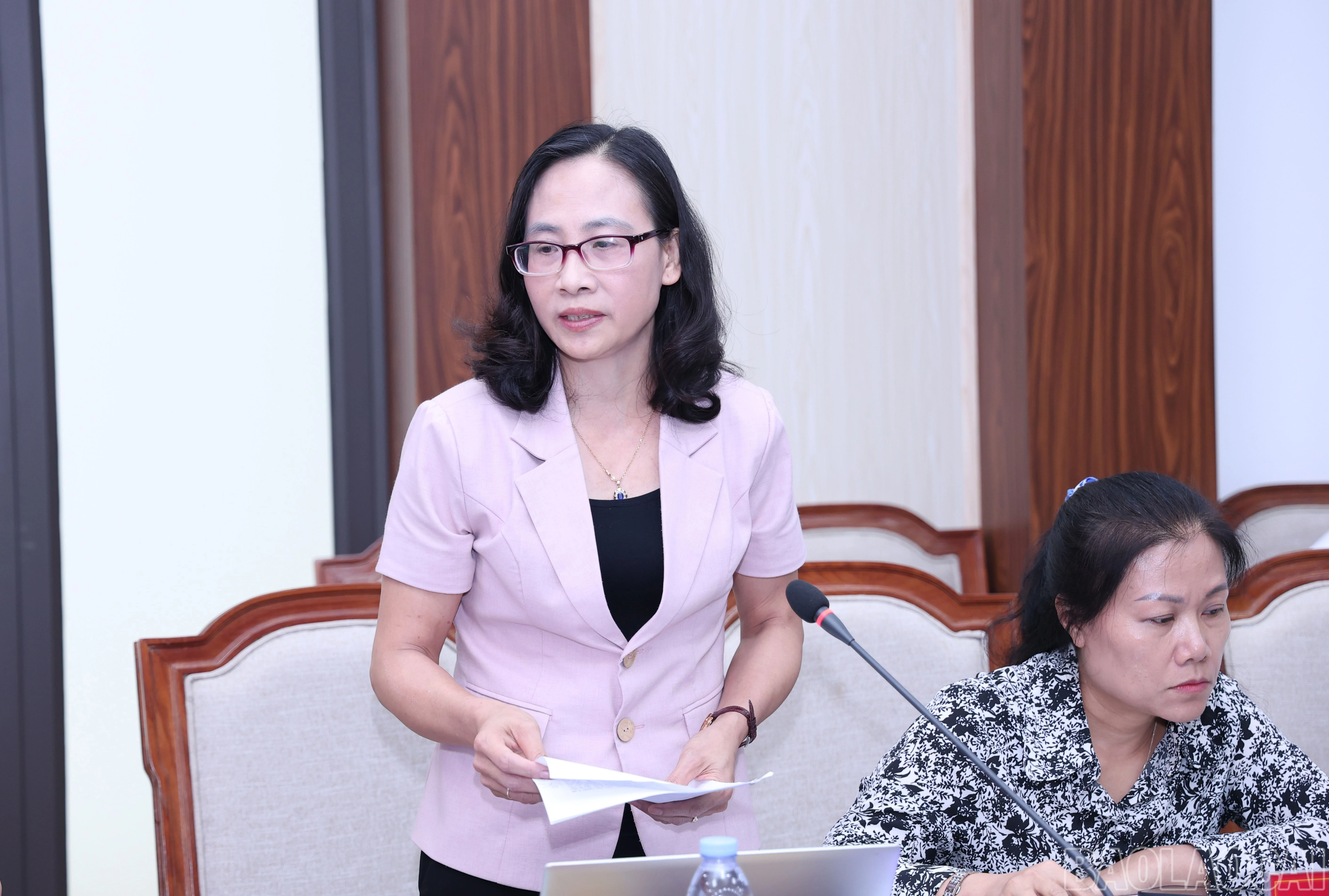 baolaocai-br_img-3300.jpg