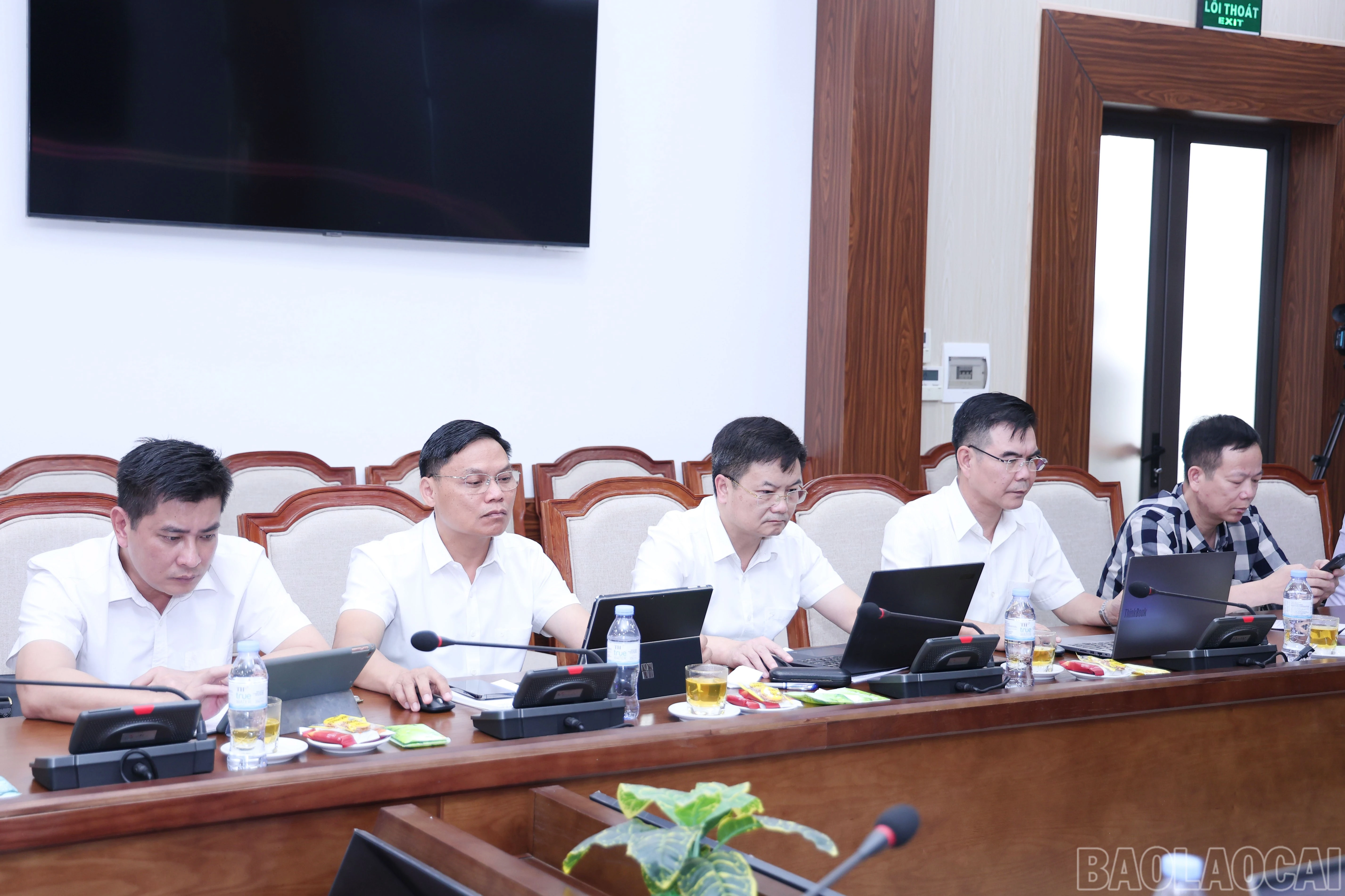 baolaocai-br_img-3249.jpg