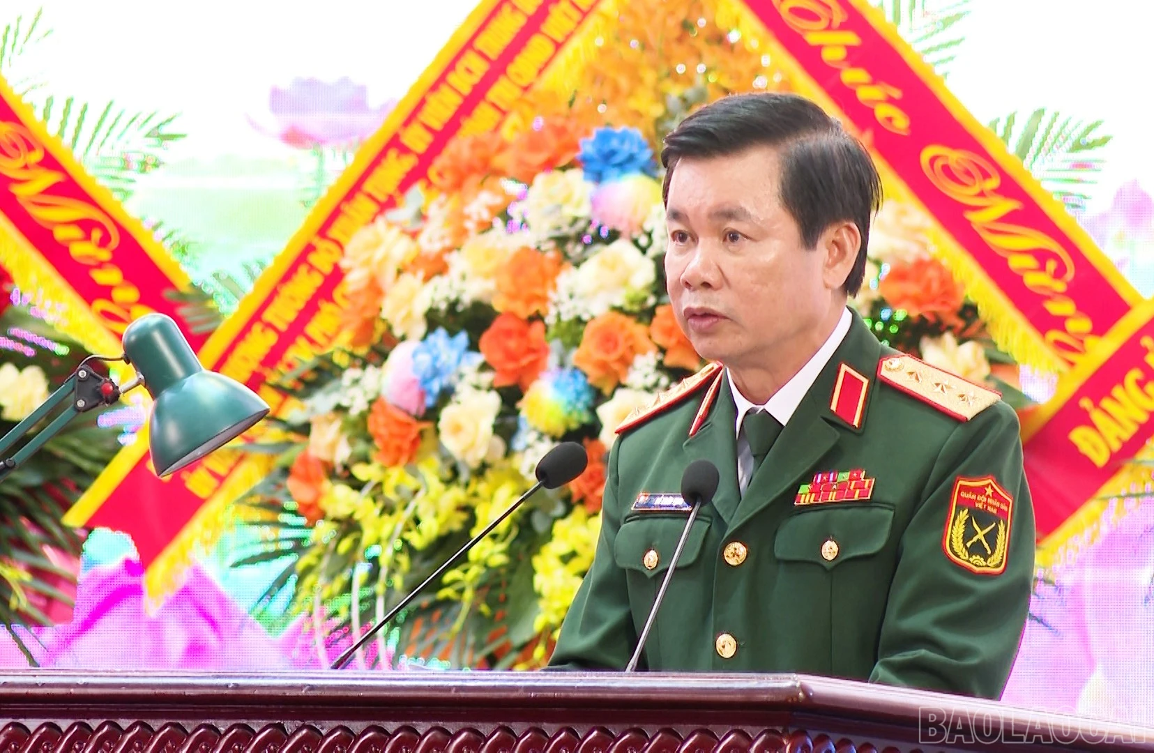 baolaocai-br_5.jpg
