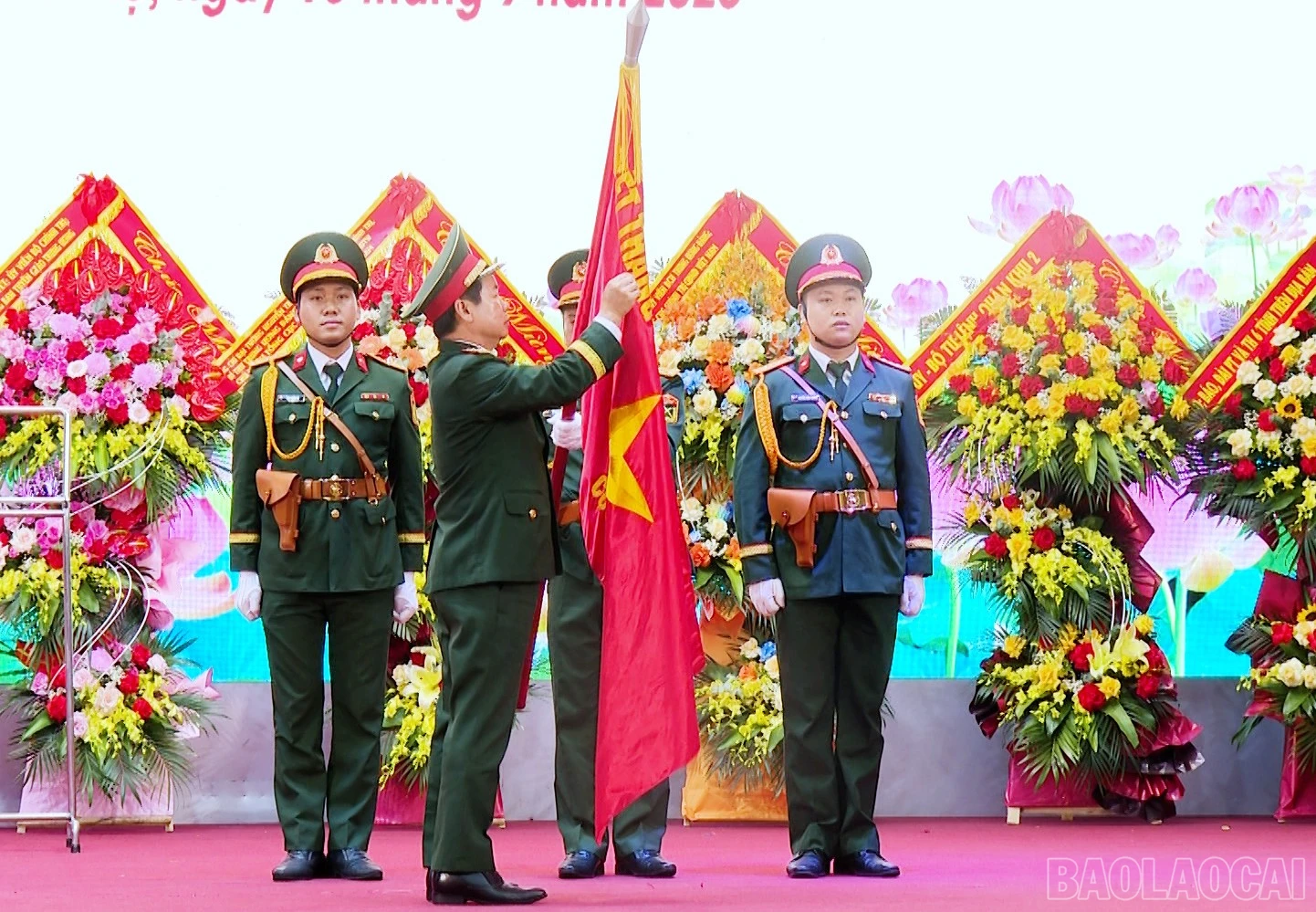 baolaocai-br_4.jpg
