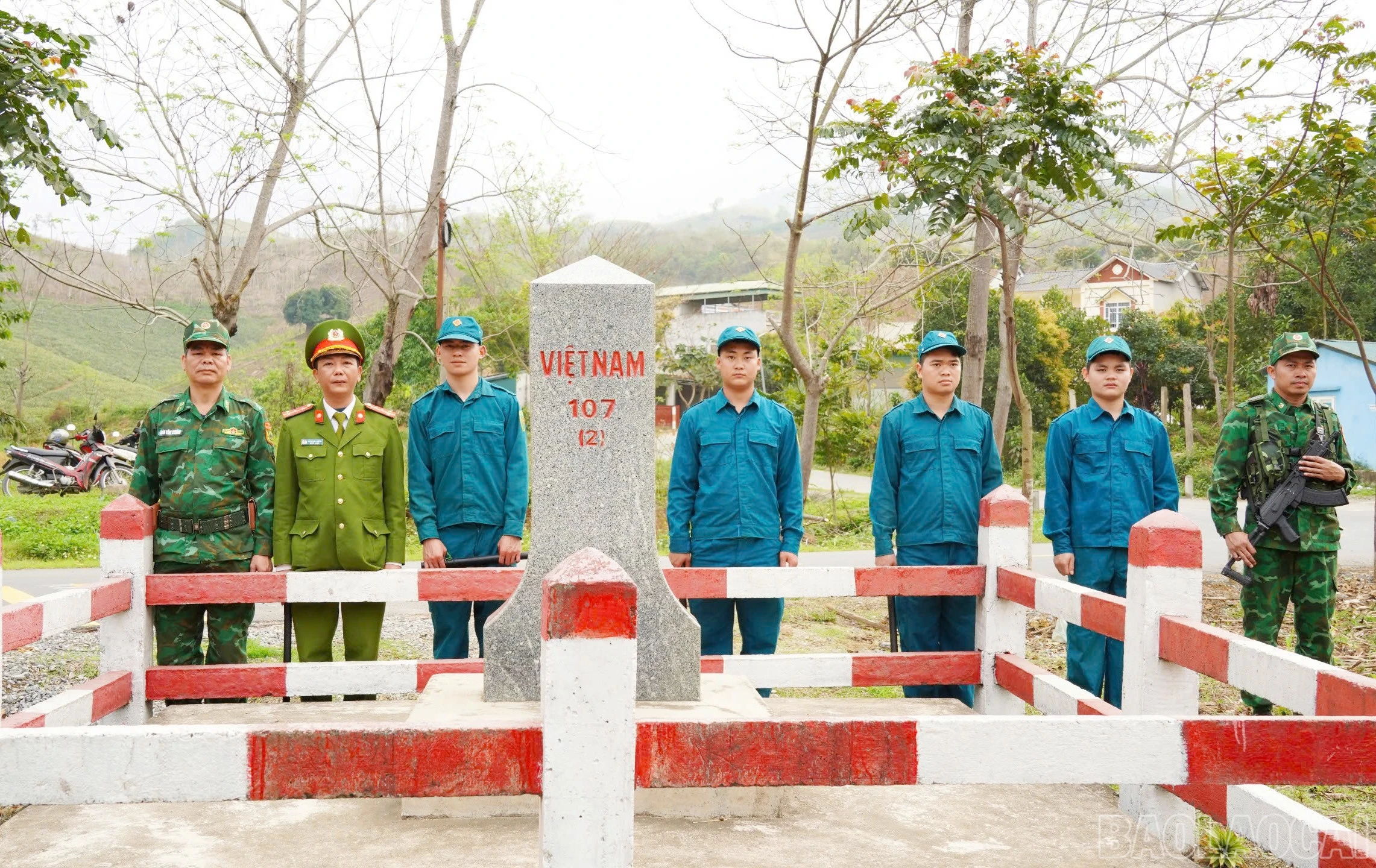 baolaocai-br_113.jpg