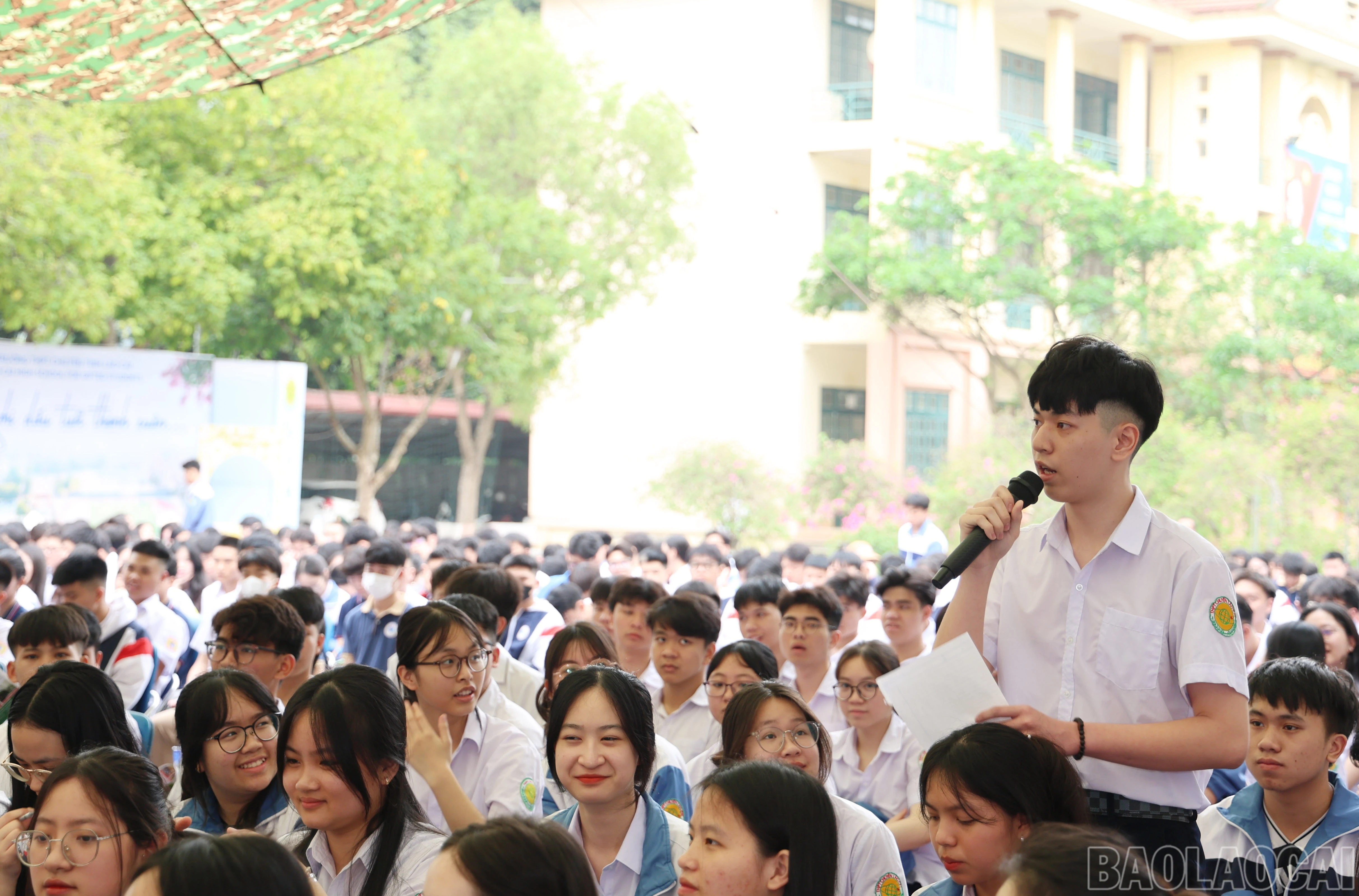 baolaocai-br_3673.jpg