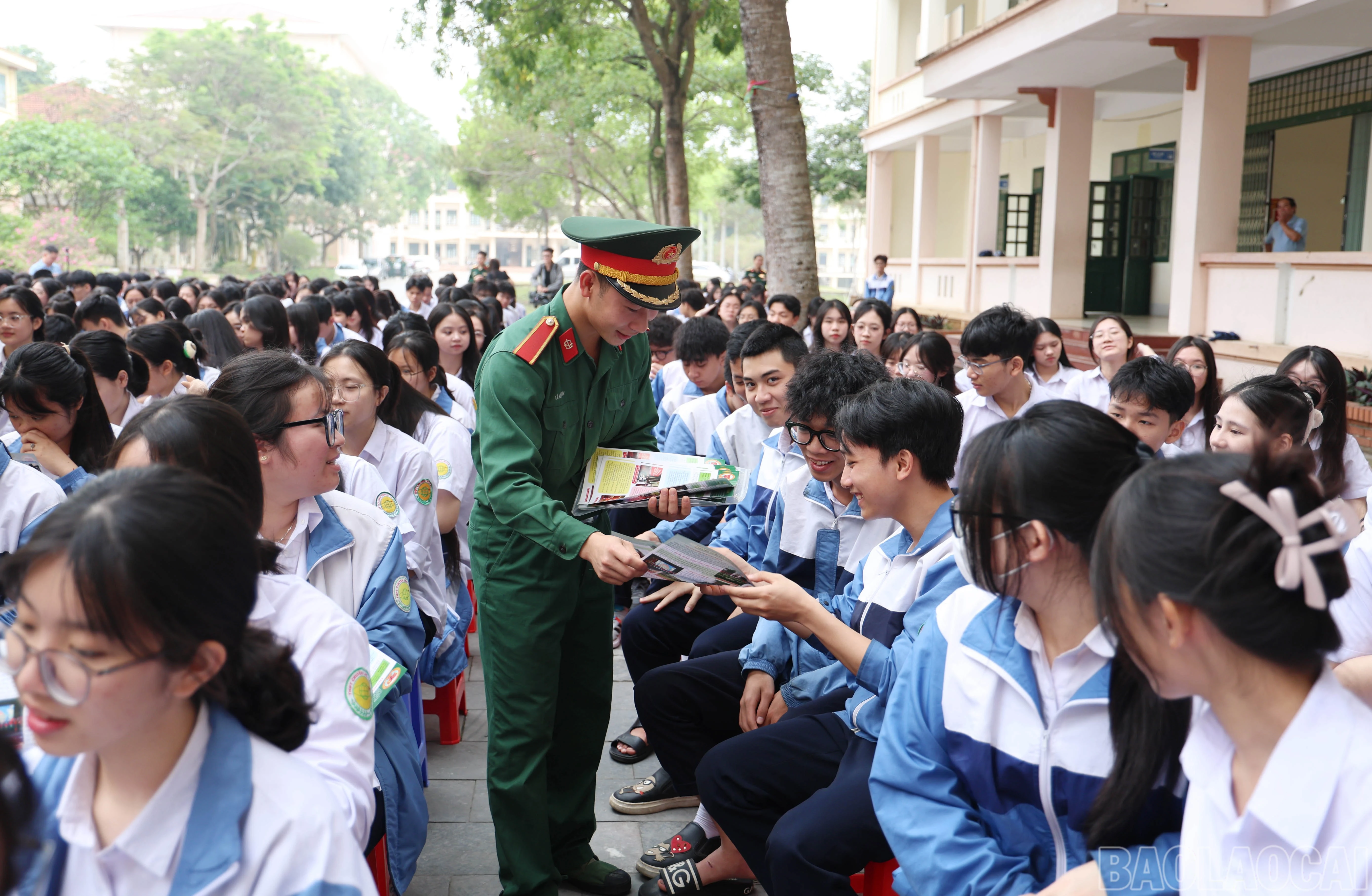 baolaocai-br_3624.jpg
