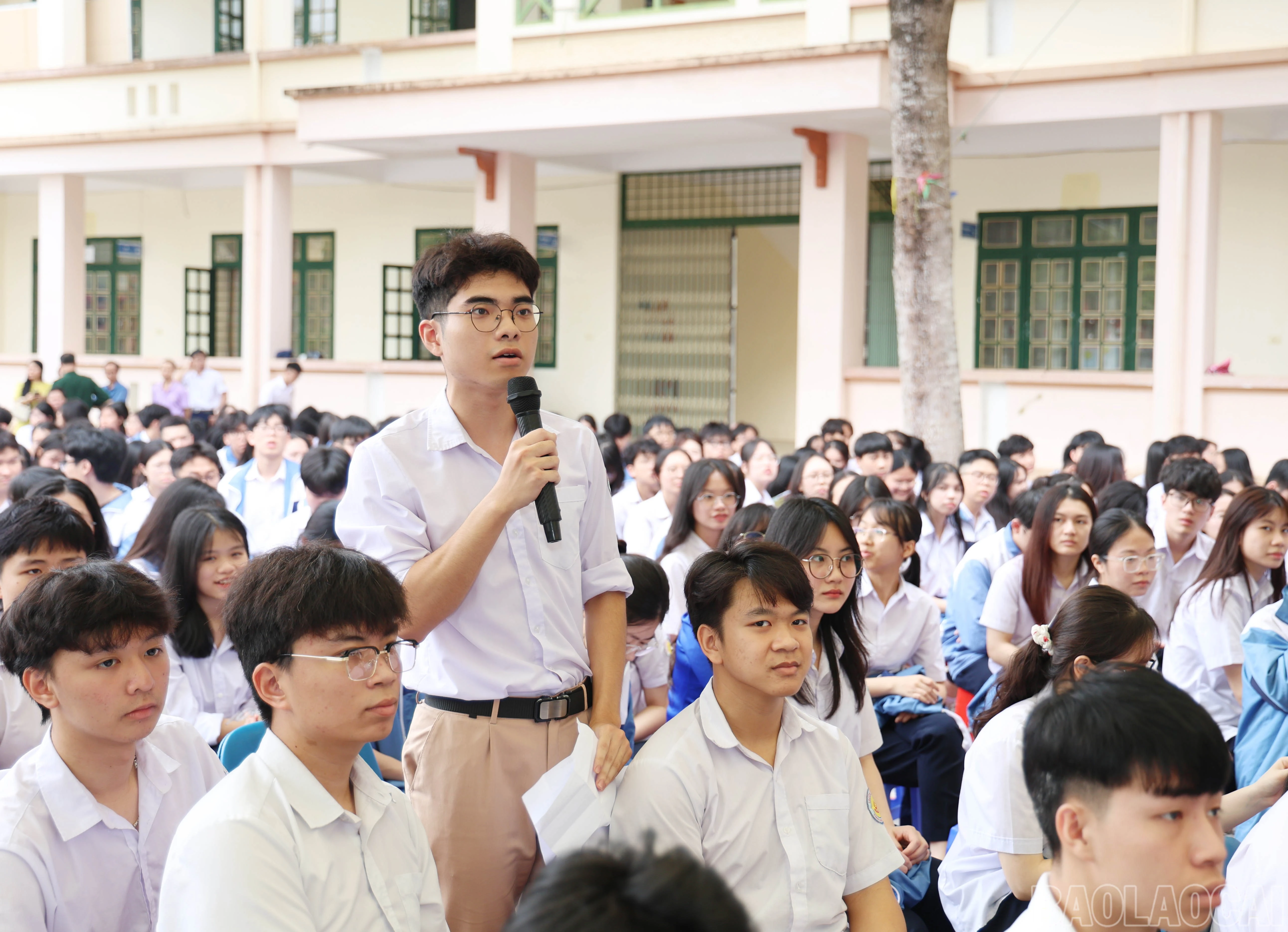 baolaocai-br_3680.jpg