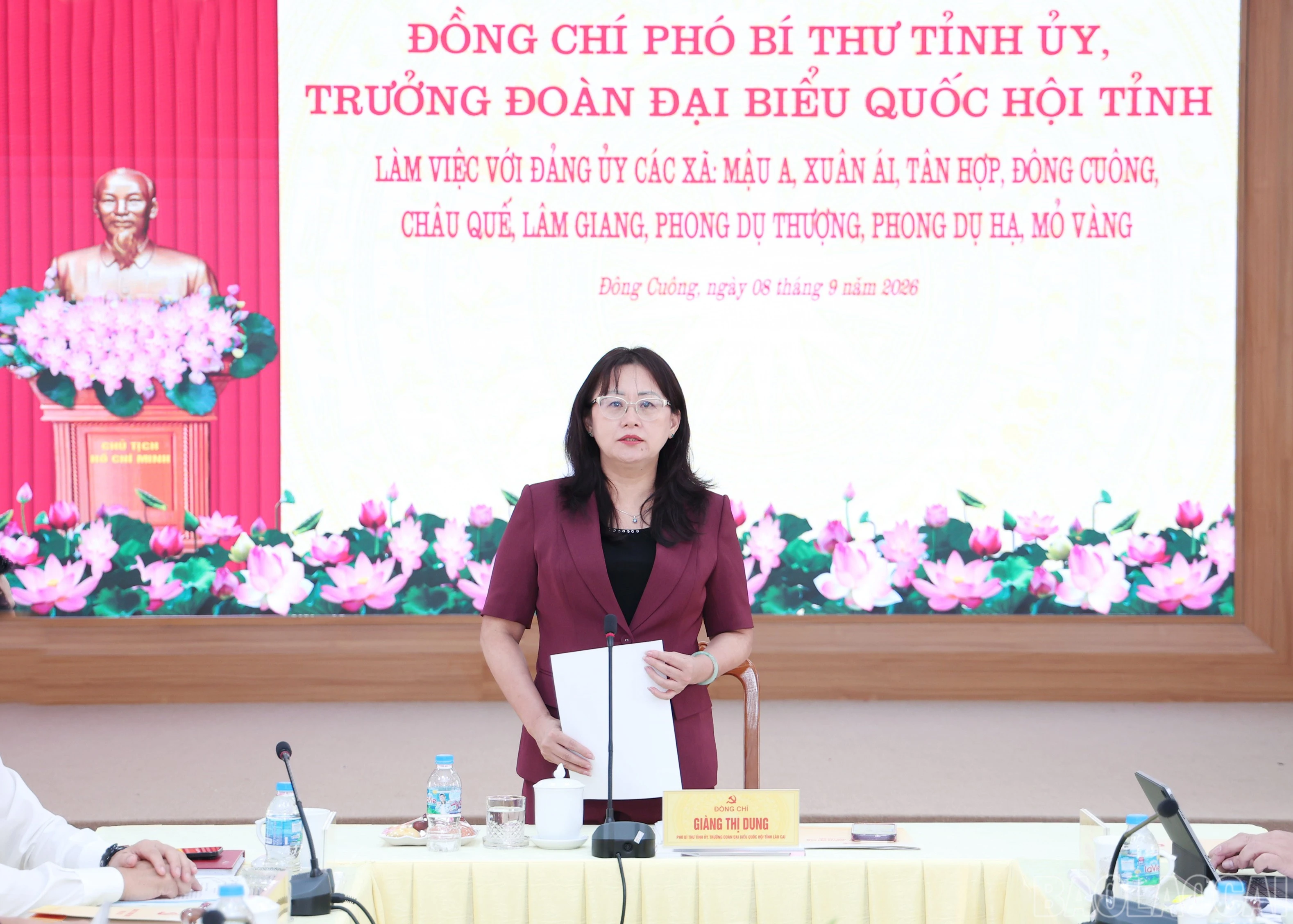 baolaocai-br_img-9814.jpg