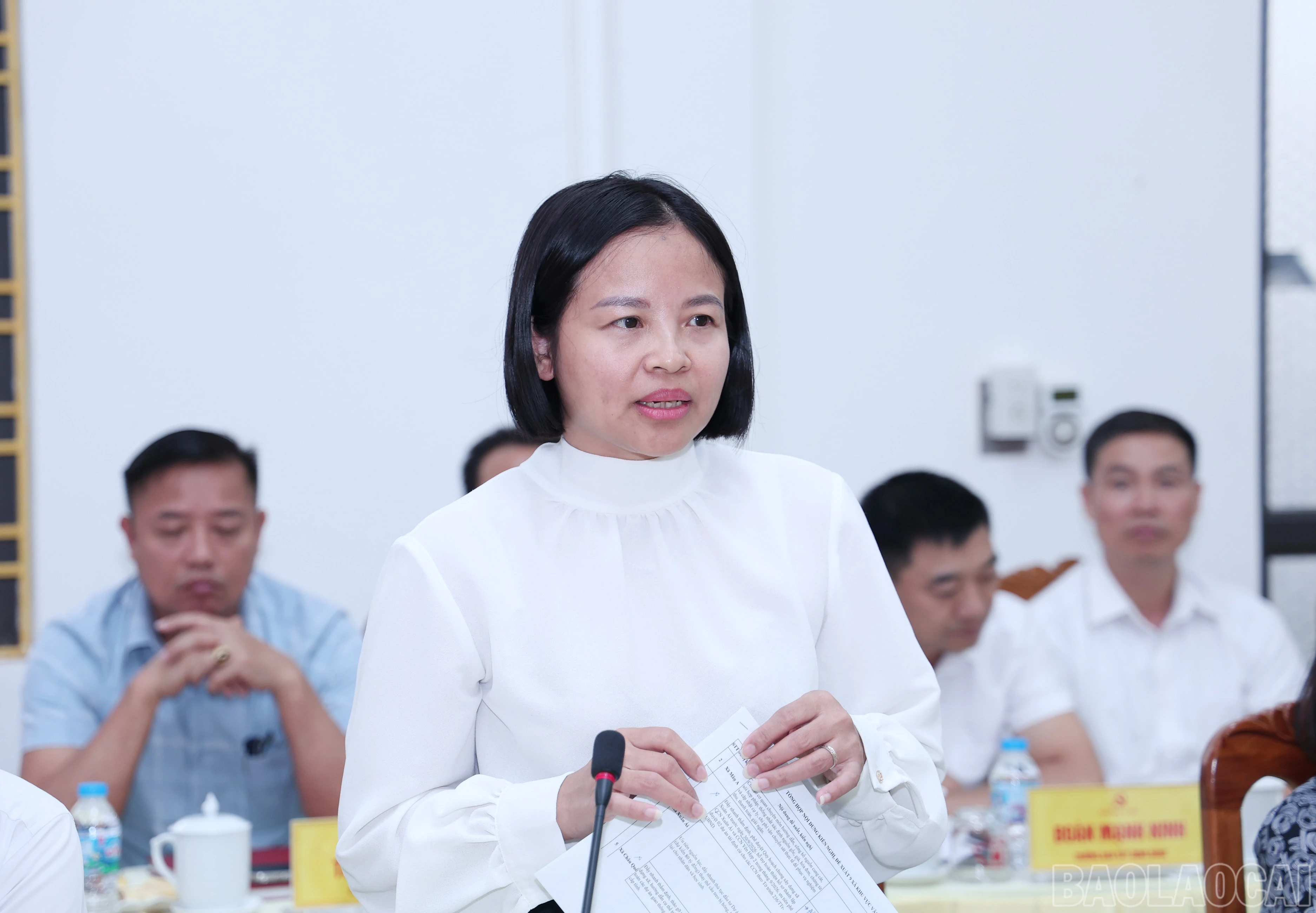 baolaocai-br_img-9892.jpg