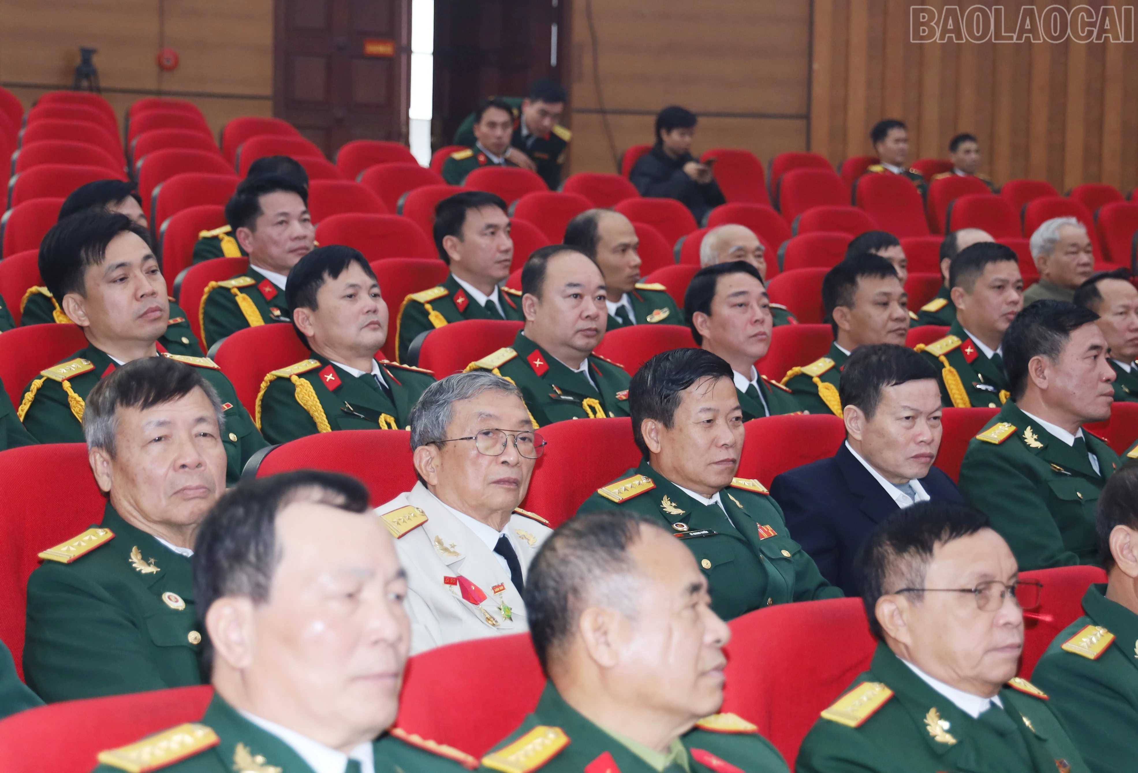 baolaocai-tr_7529.jpg