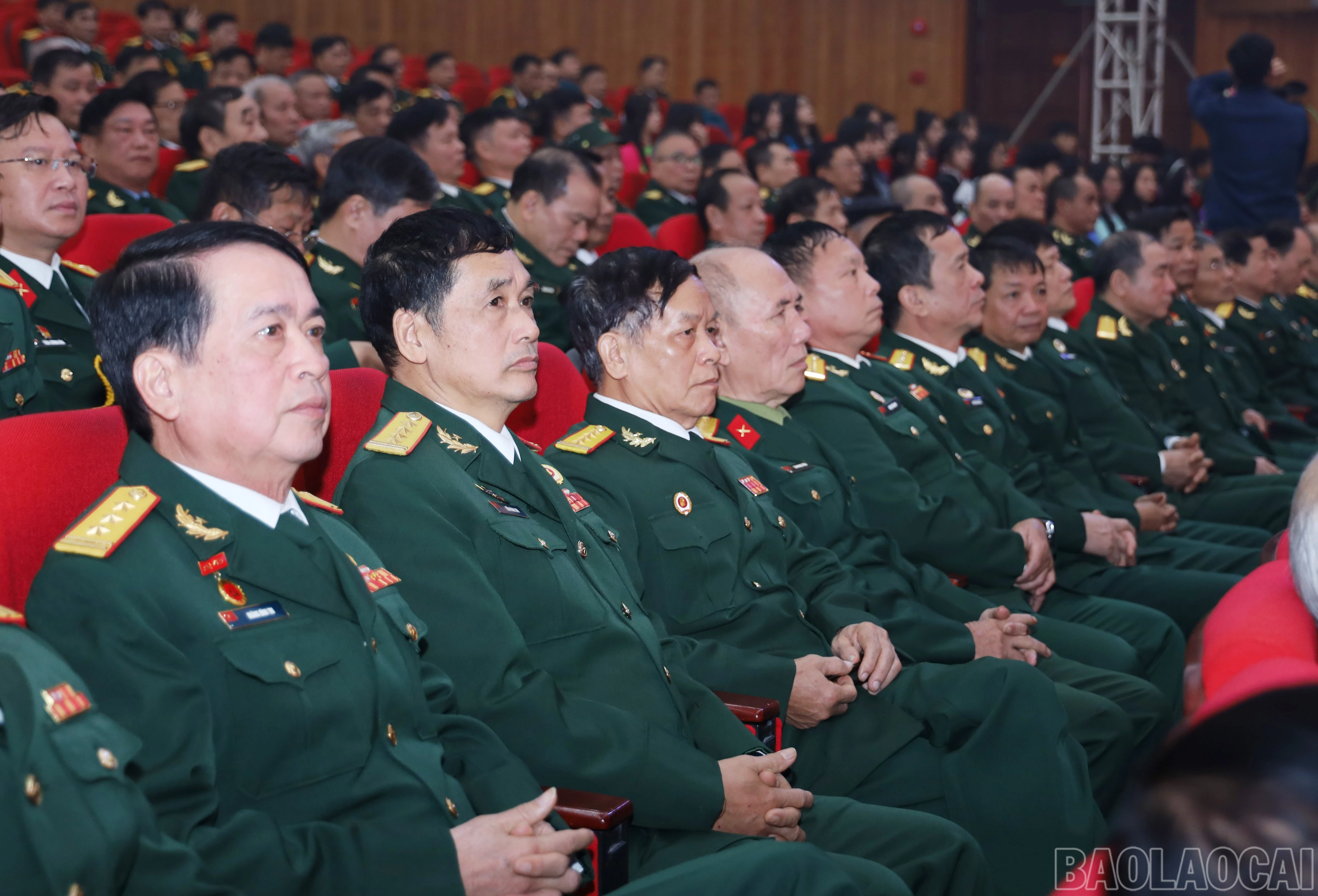 baolaocai-br_7521.jpg
